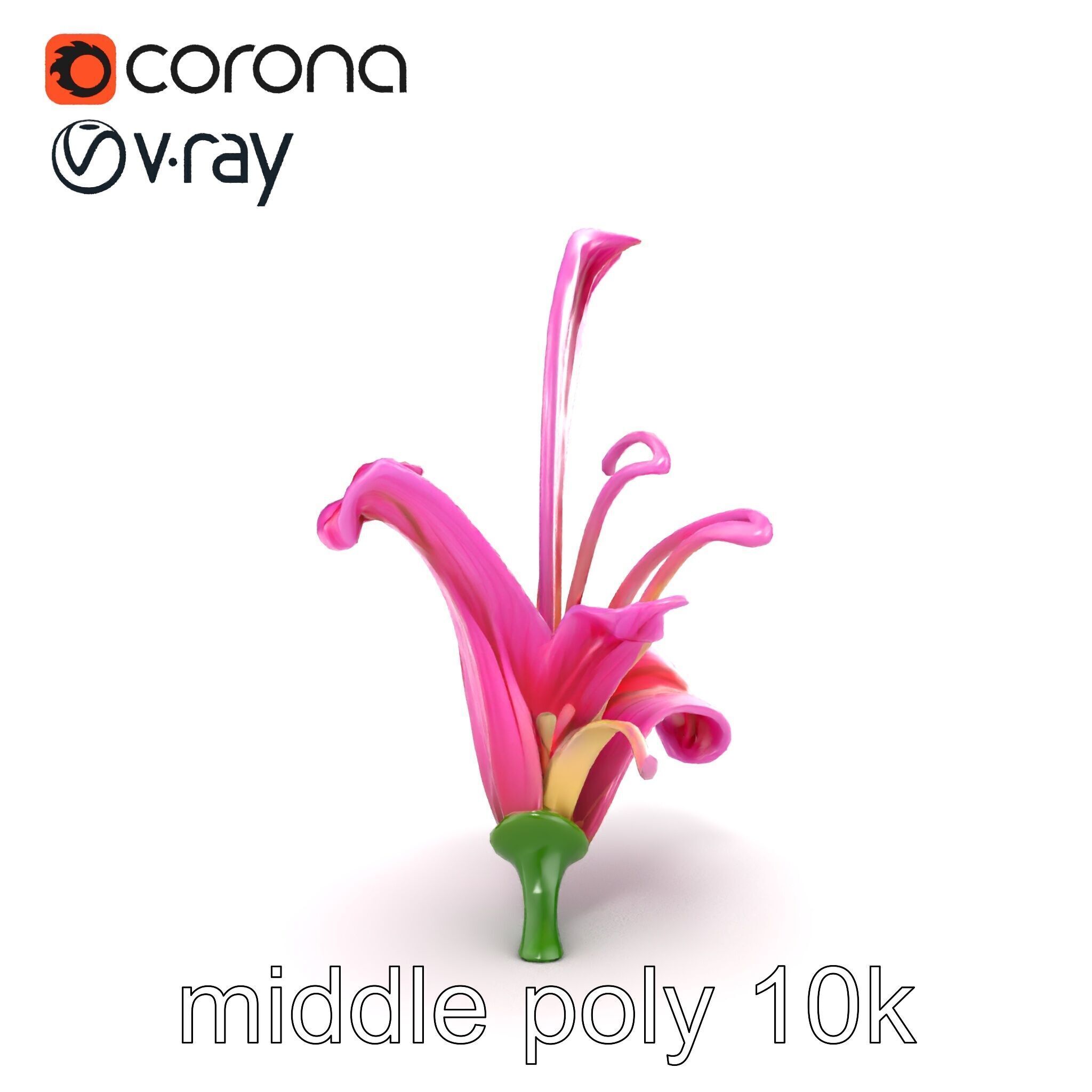 Martagon Lily Flower Sculpture model pack Low-poly 3D model_17