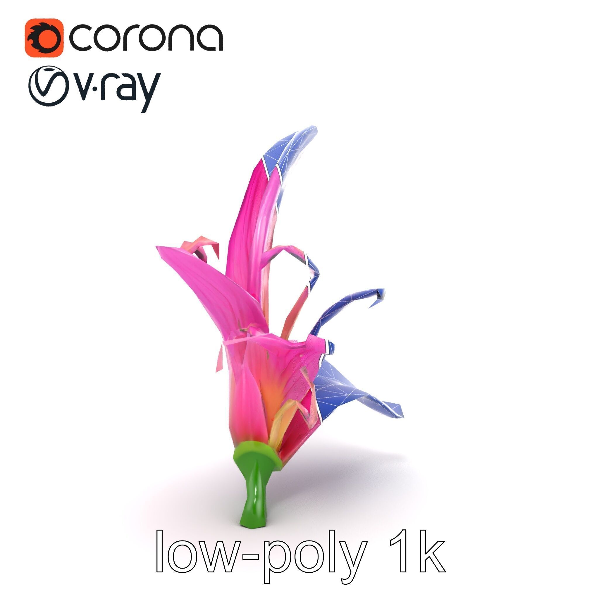 Martagon Lily Flower Sculpture model pack Low-poly 3D model_15