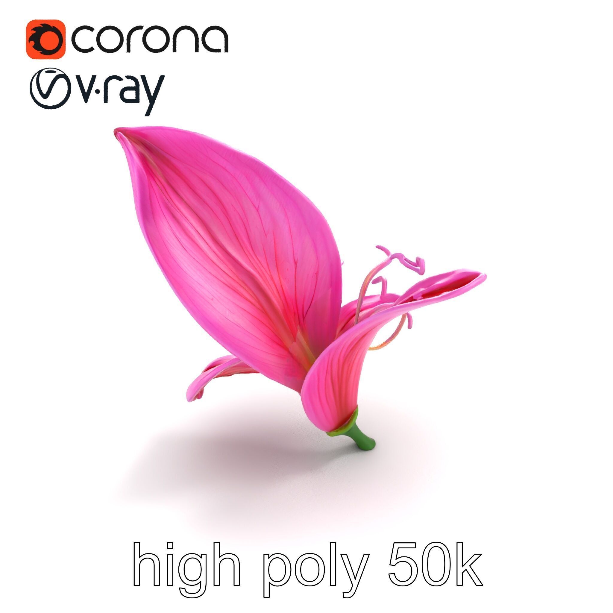 Martagon Lily Flower Sculpture model pack Low-poly 3D model_9