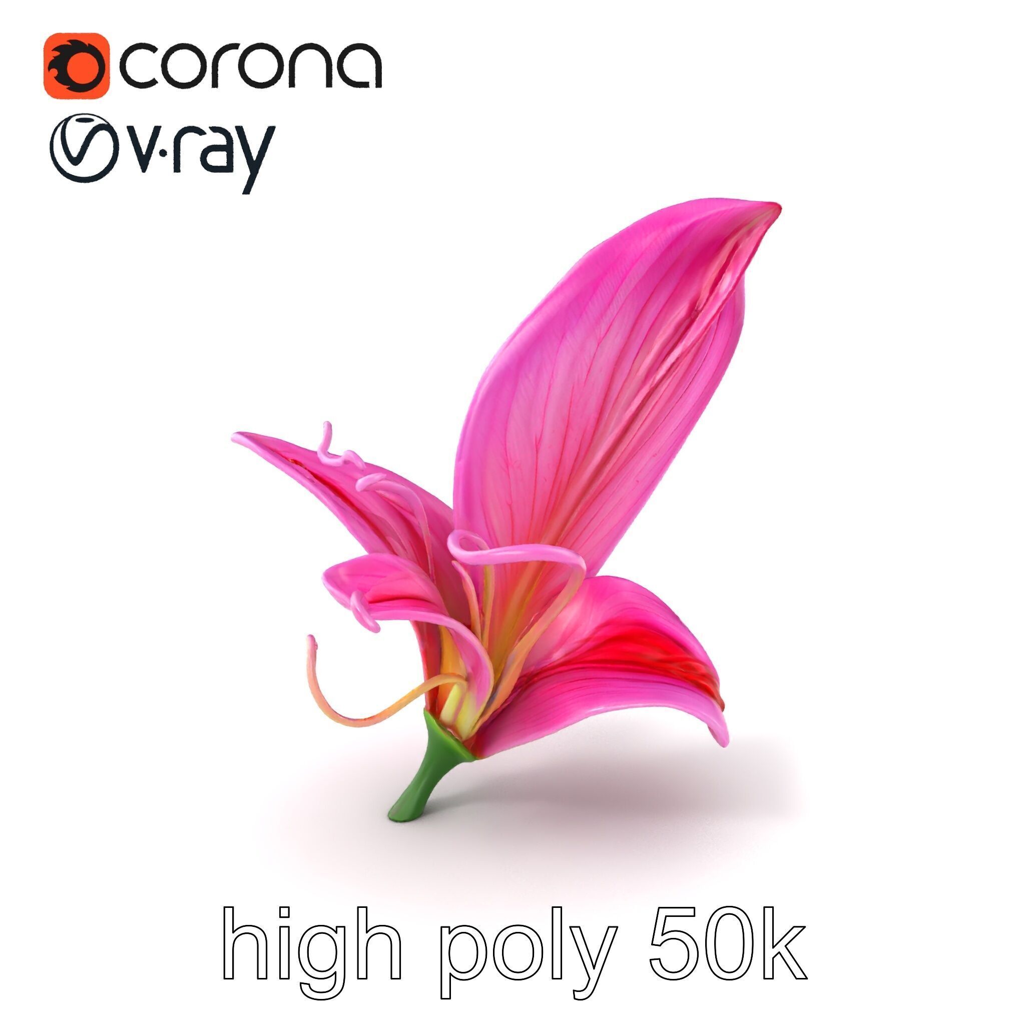 Martagon Lily Flower Sculpture model pack Low-poly 3D model_2