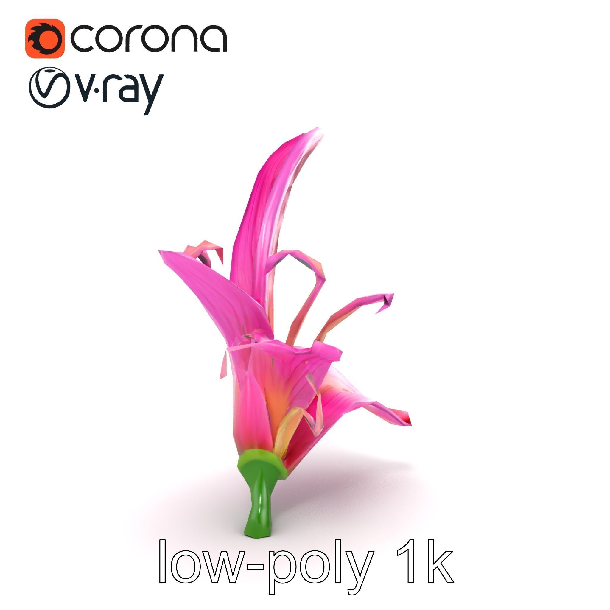 Martagon Lily Flower Sculpture model pack Low-poly 3D model_23