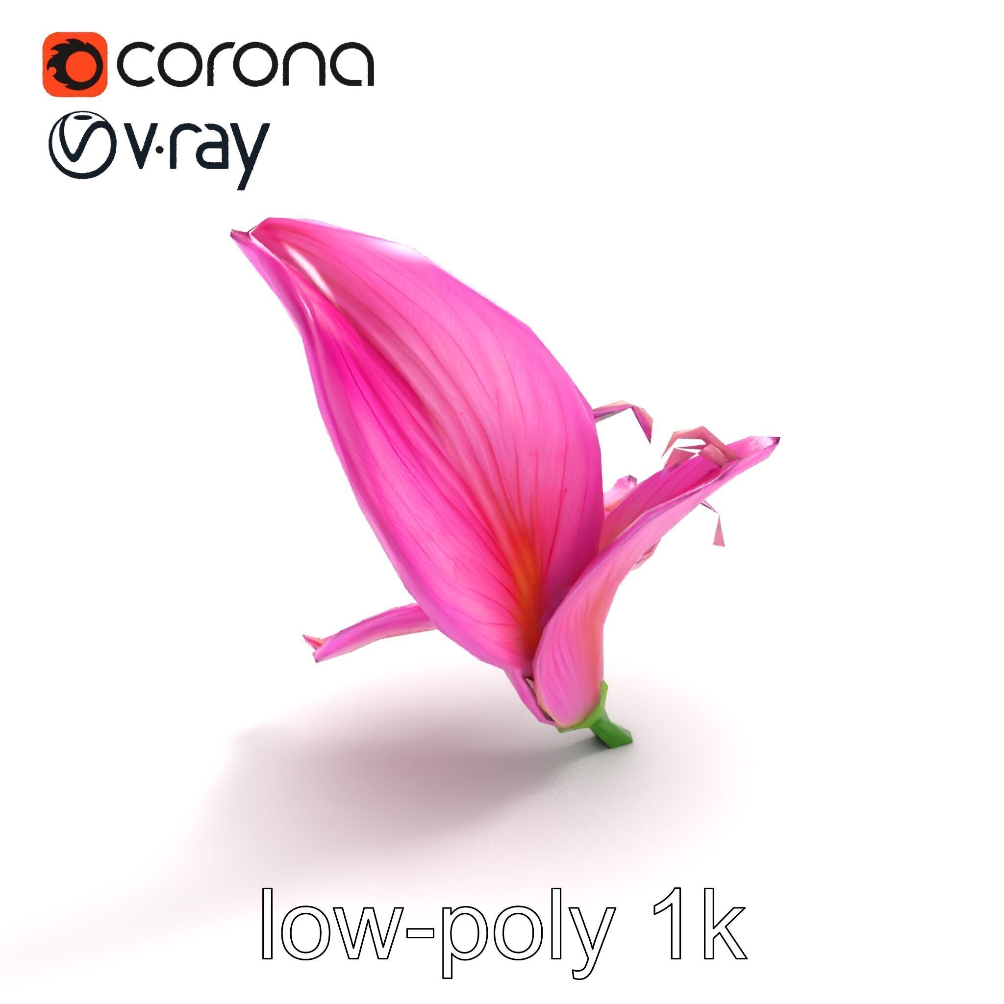 Martagon Lily Flower Sculpture model pack Low-poly 3D model_8