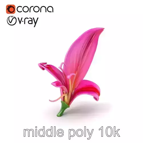 Martagon Lily Flower Sculpture model pack Low-poly 3D model Martagon Lily Flower Sculpture model pack Low-poly 3D model