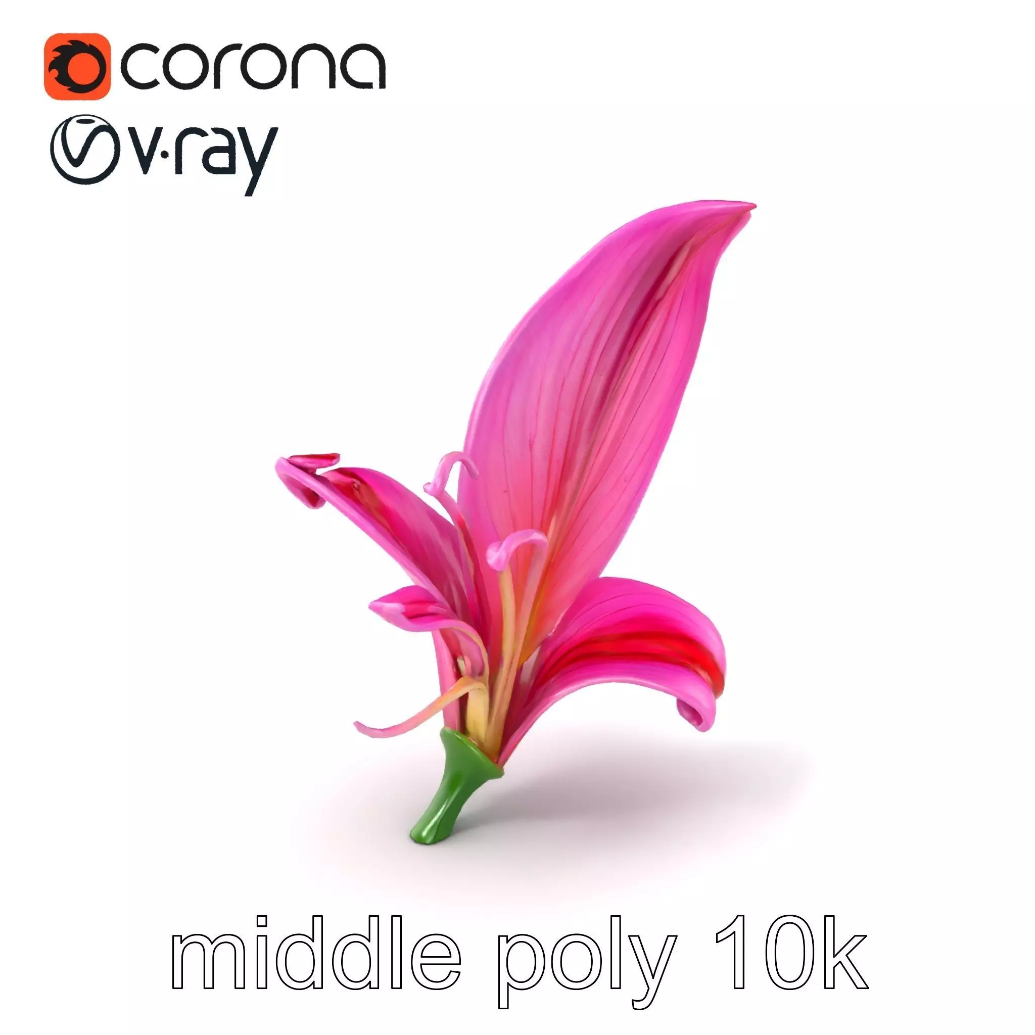 Martagon Lily Flower Sculpture model pack Low-poly 3D model_0