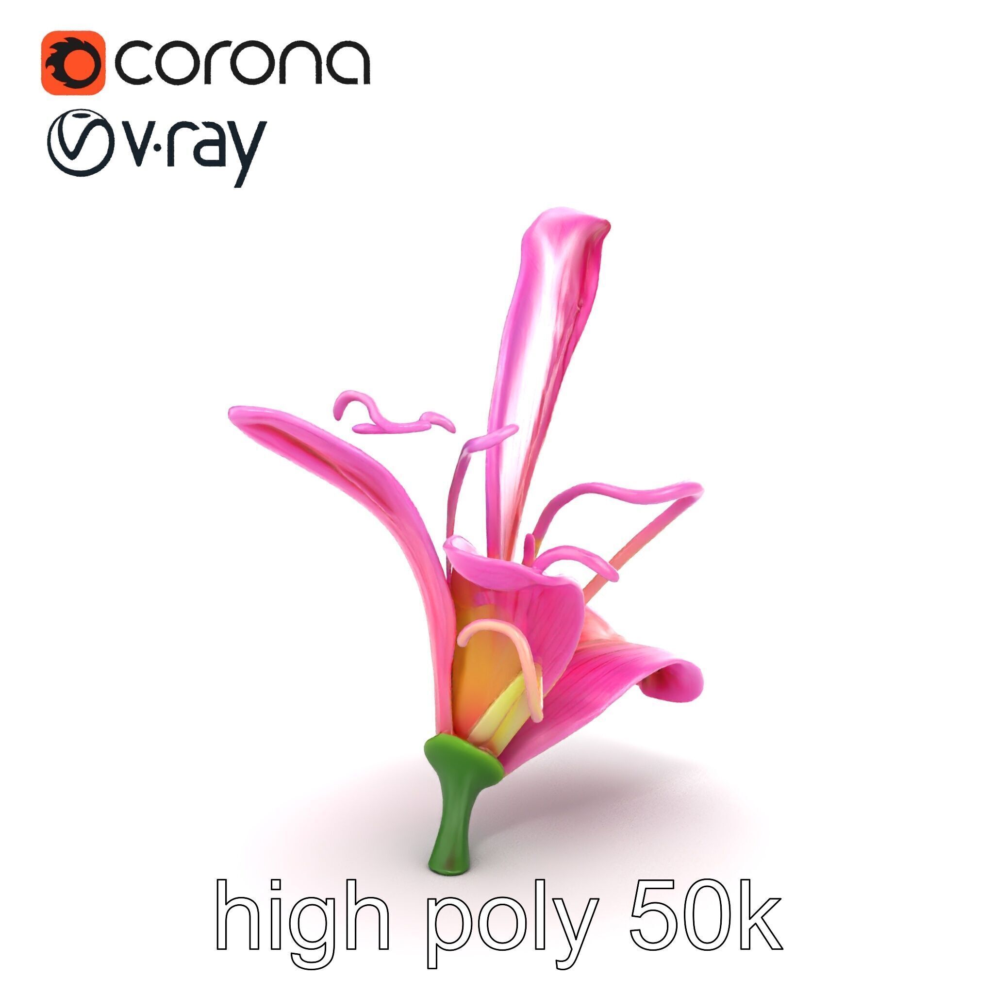Martagon Lily Flower Sculpture model pack Low-poly 3D model_24