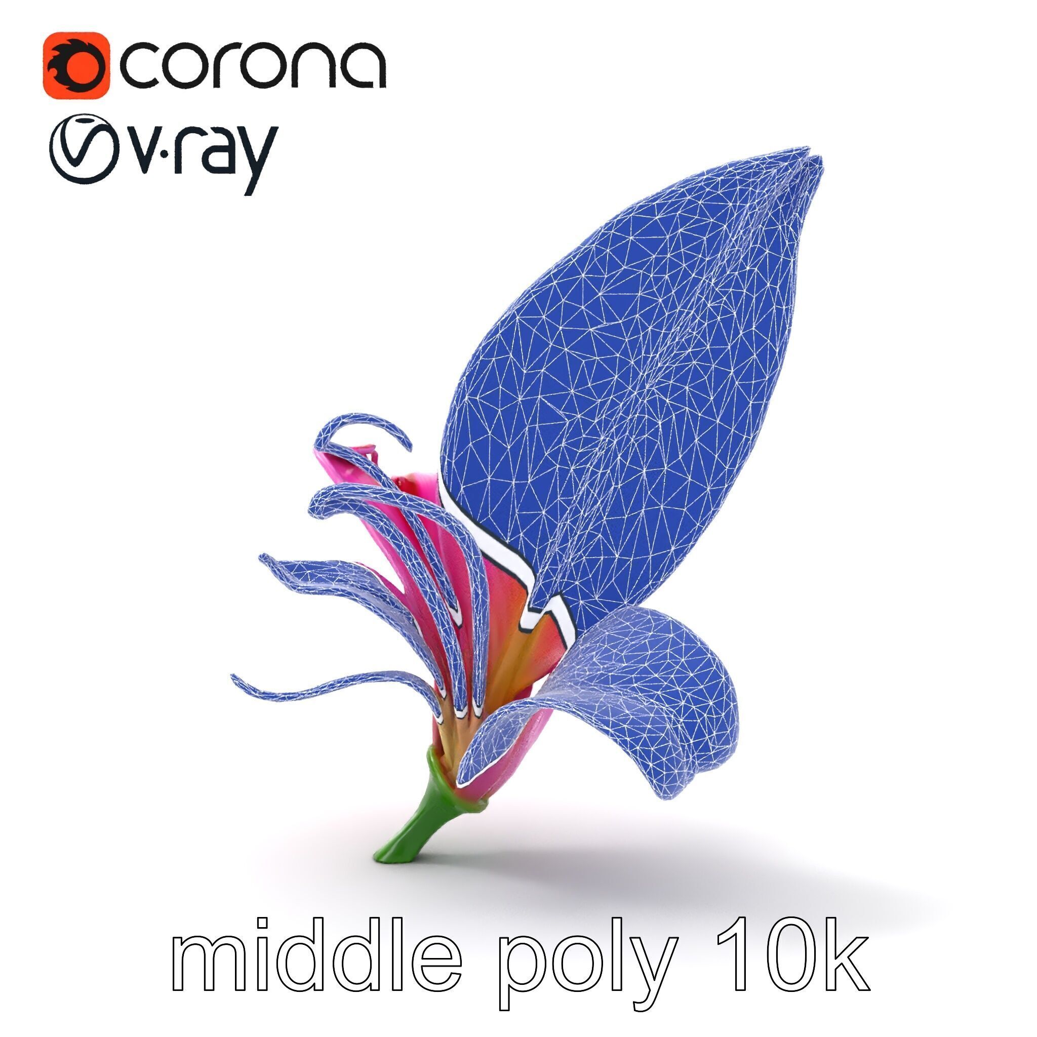 Martagon Lily Flower Sculpture model pack Low-poly 3D model_29