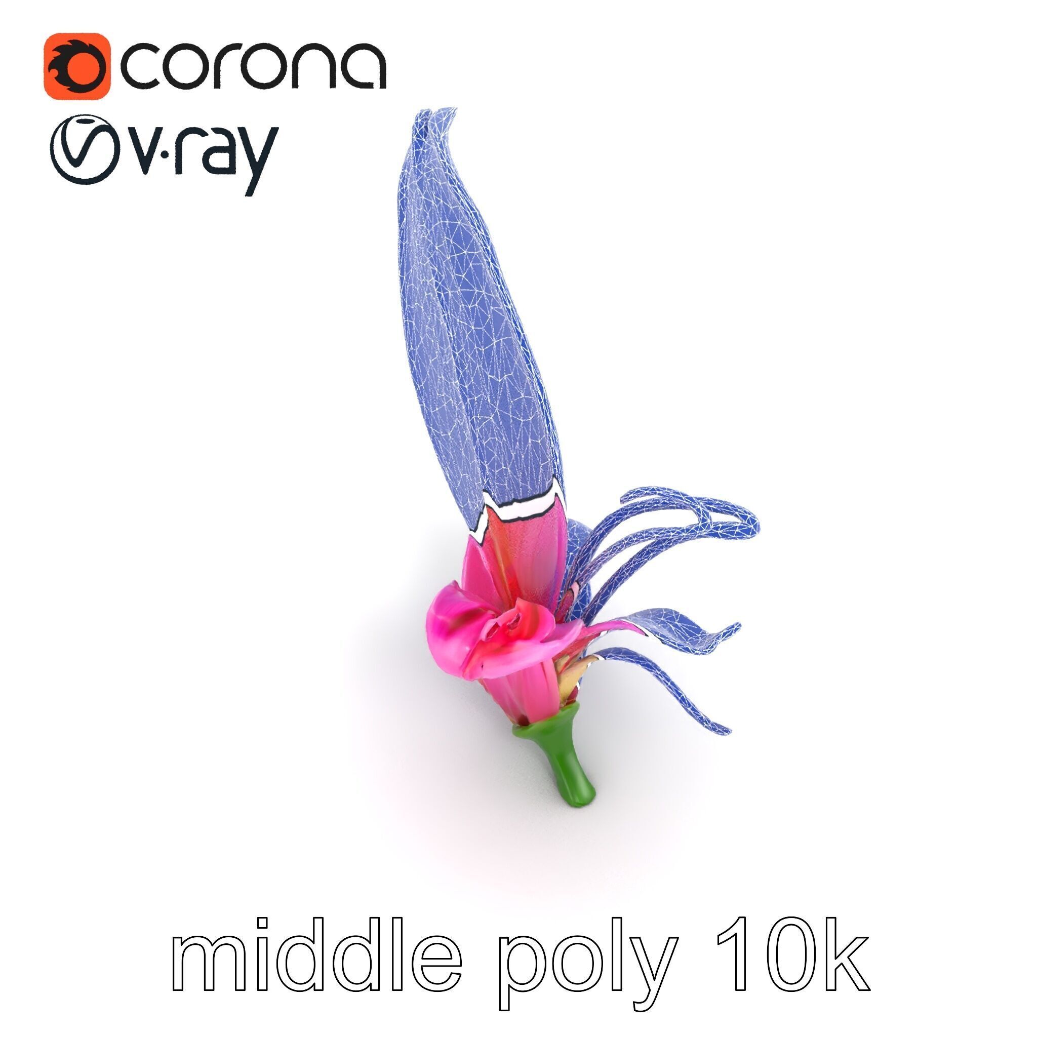 Martagon Lily Flower Sculpture model pack Low-poly 3D model_16