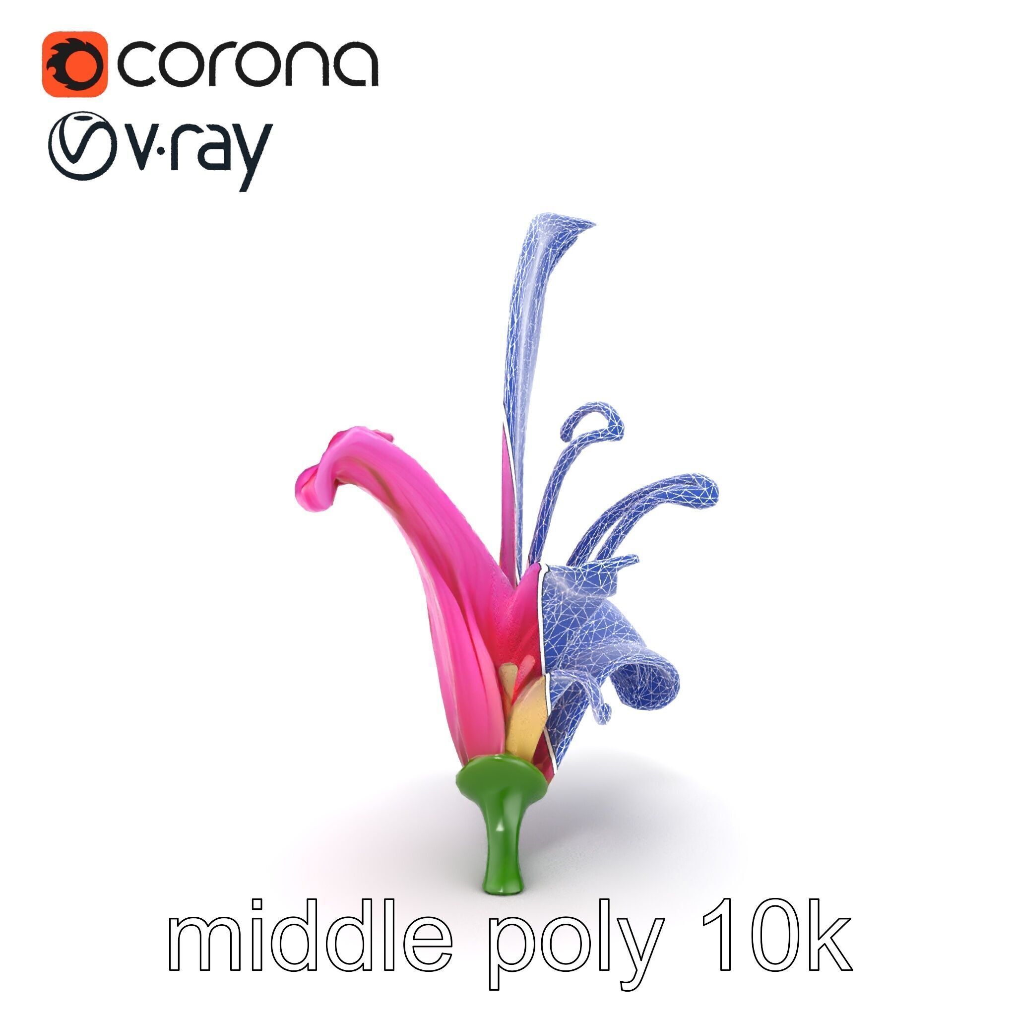 Martagon Lily Flower Sculpture model pack Low-poly 3D model_26
