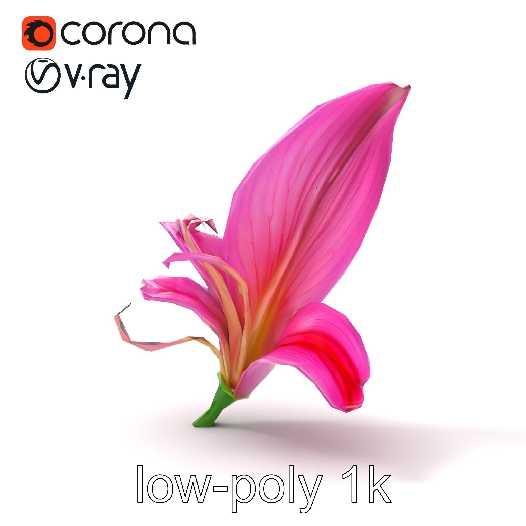 Martagon Lily Flower Sculpture model pack Low-poly 3D model_19