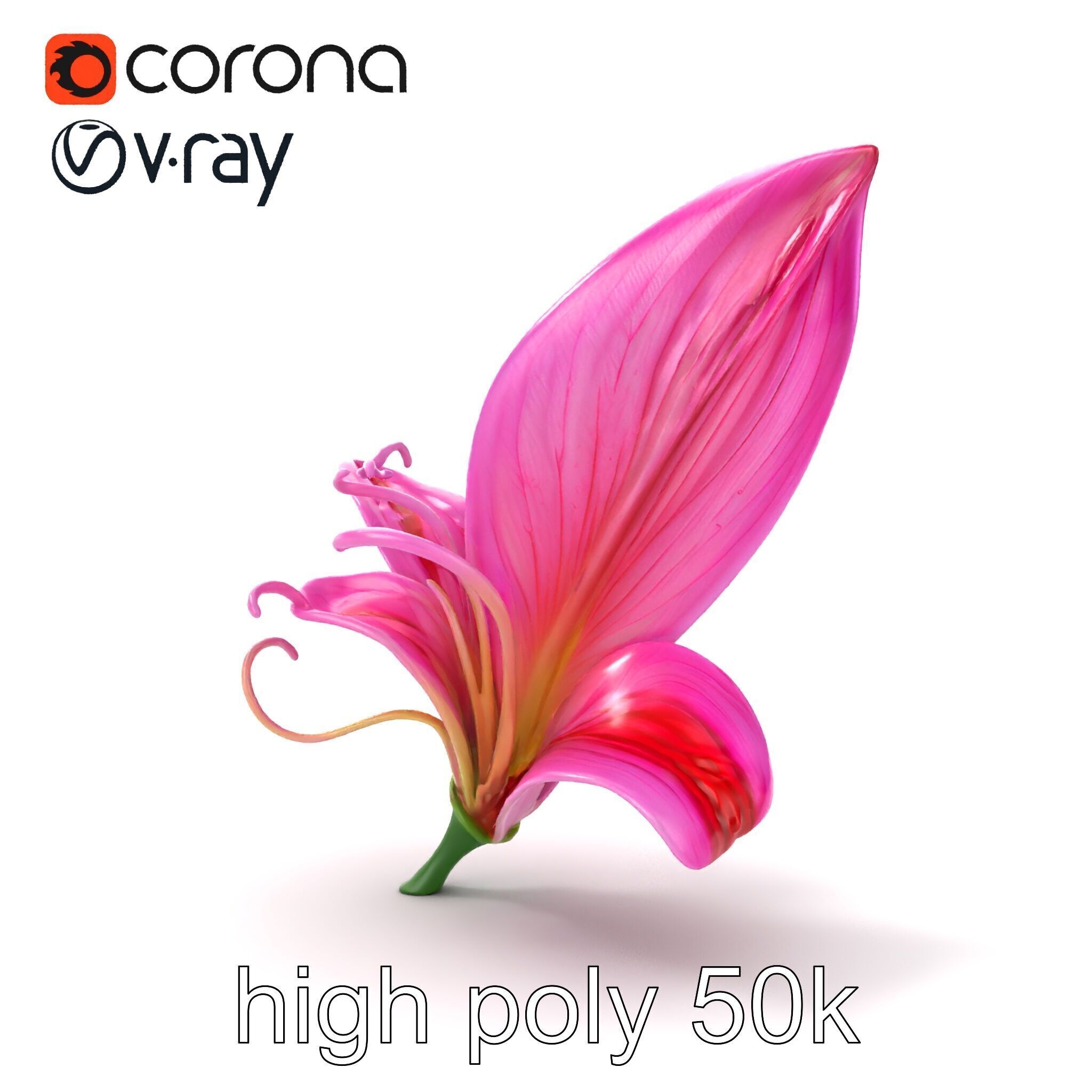 Martagon Lily Flower Sculpture model pack Low-poly 3D model_12