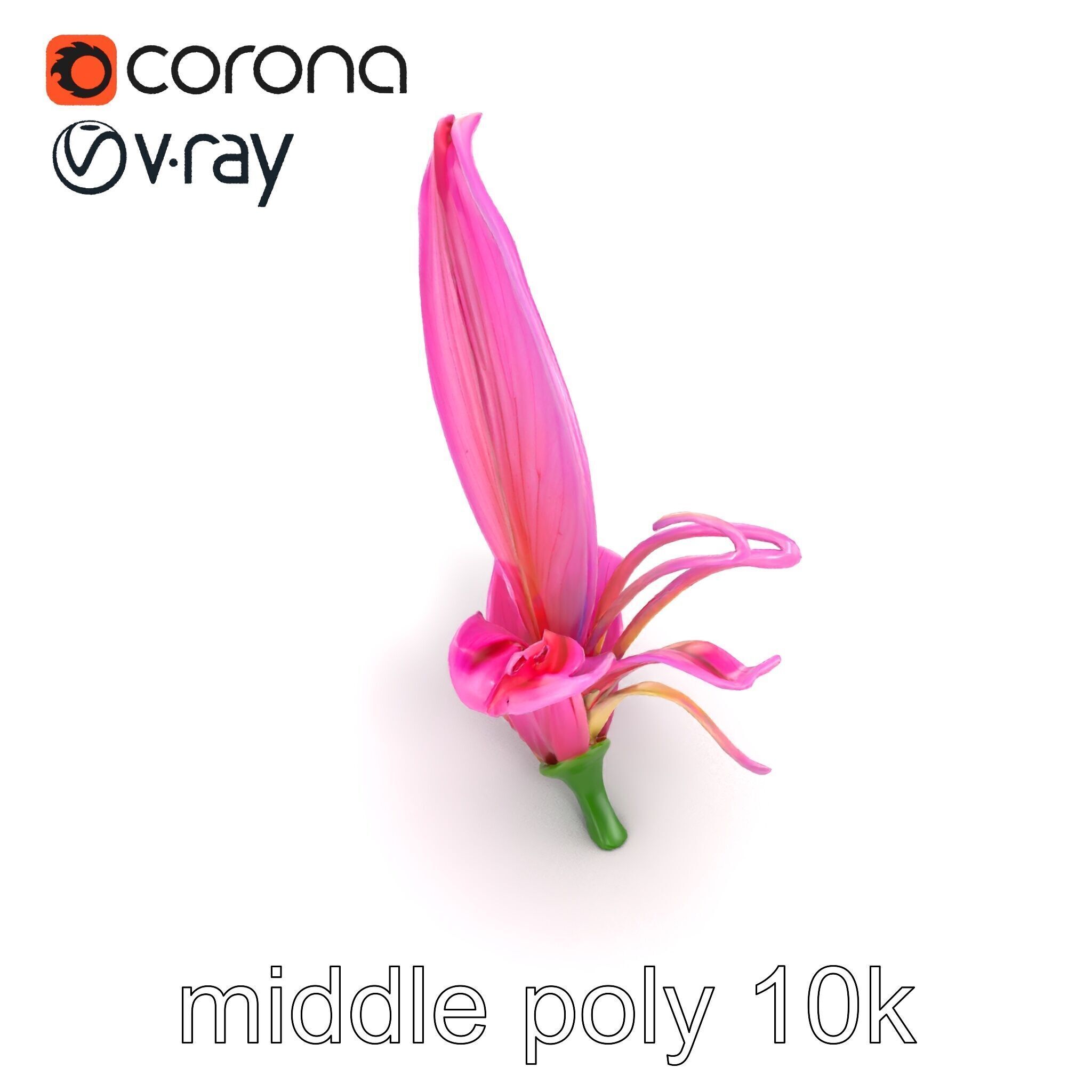 Martagon Lily Flower Sculpture model pack Low-poly 3D model_18