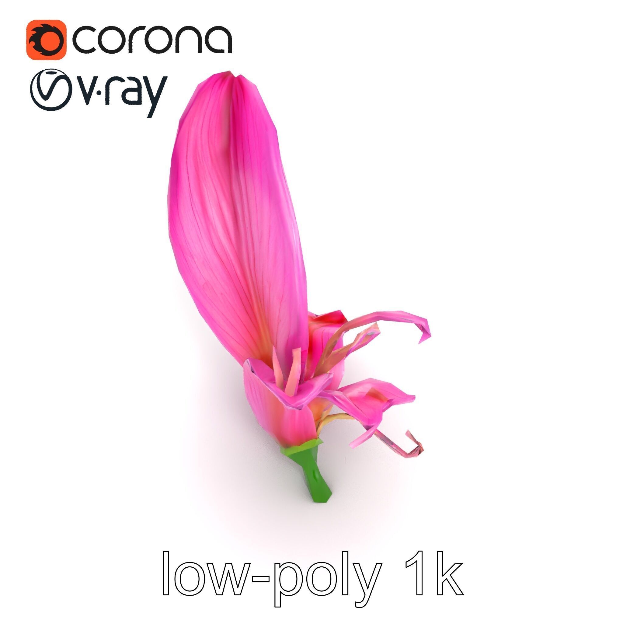 Martagon Lily Flower Sculpture model pack Low-poly 3D model_20