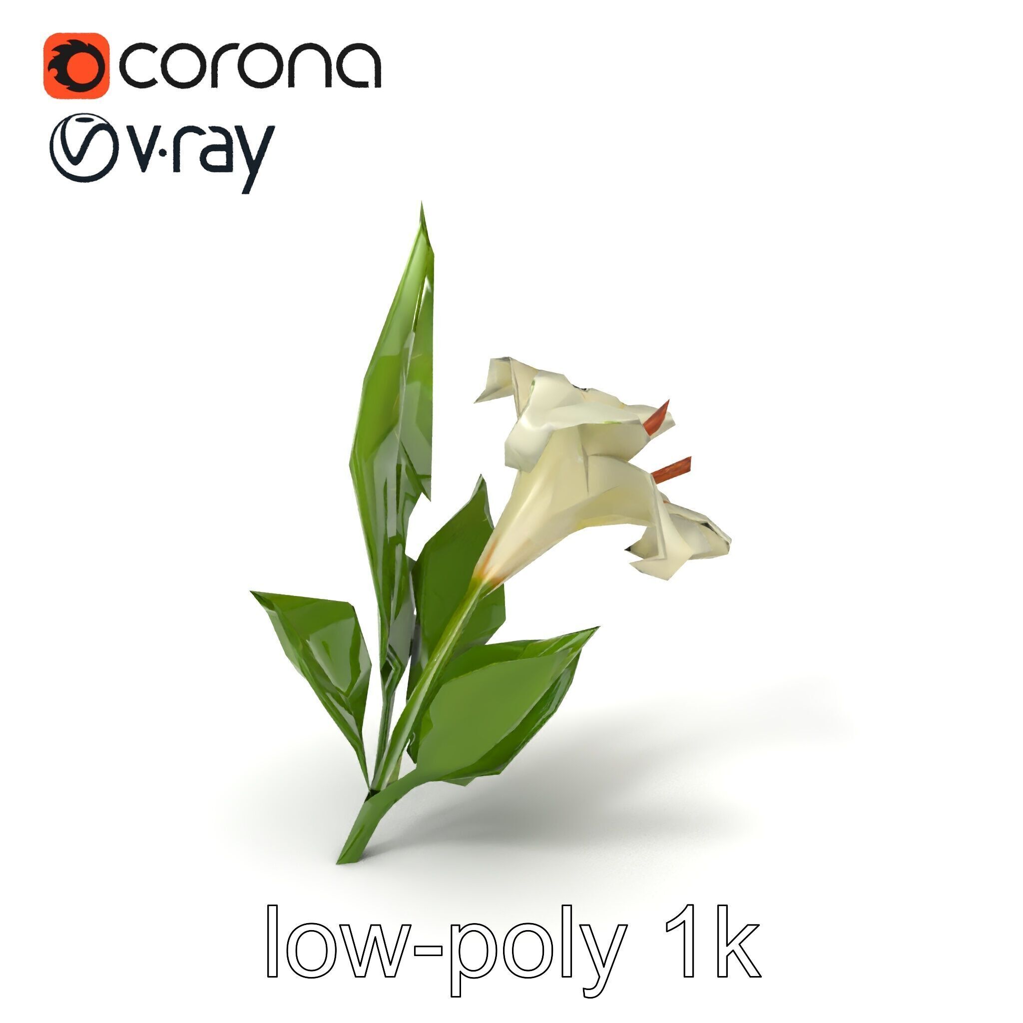 Longiflorum Lily Elegant Petals model pack Low-poly 3D model_4