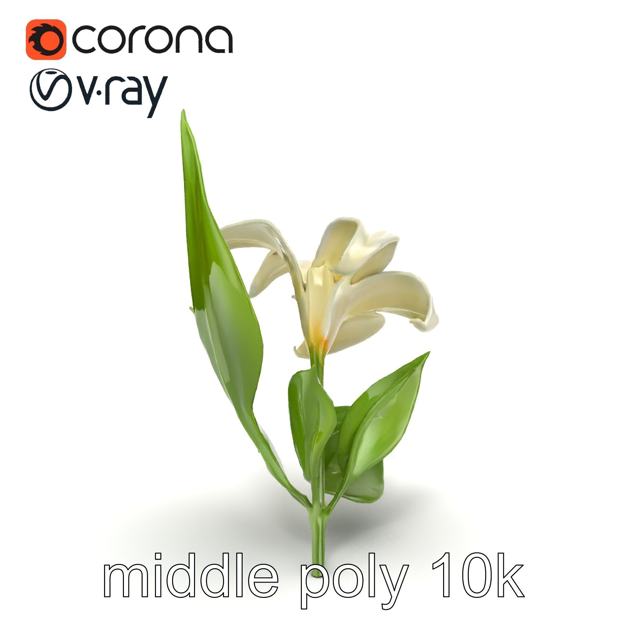 Longiflorum Lily Elegant Petals model pack Low-poly 3D model_11