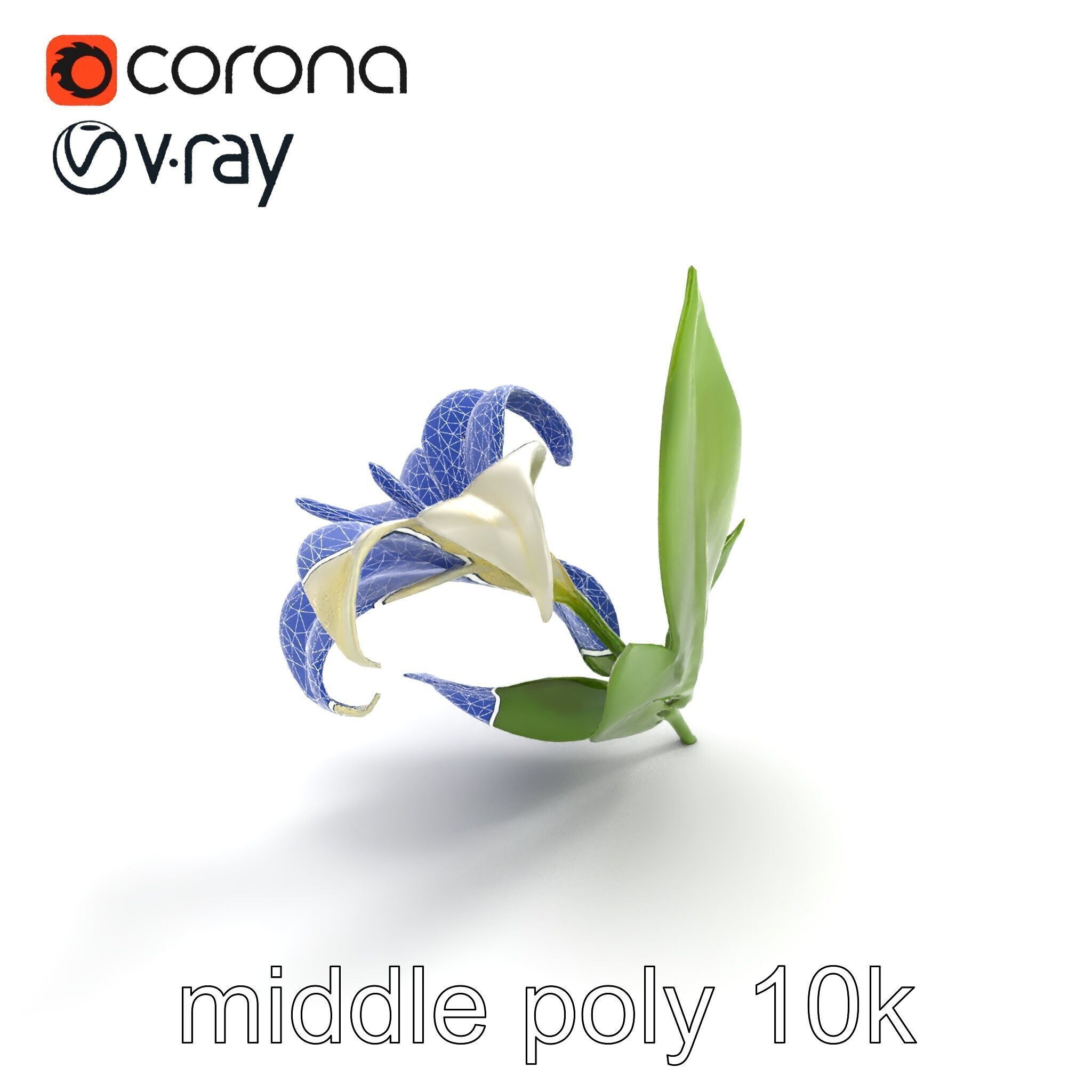 Longiflorum Lily Elegant Petals model pack Low-poly 3D model_15