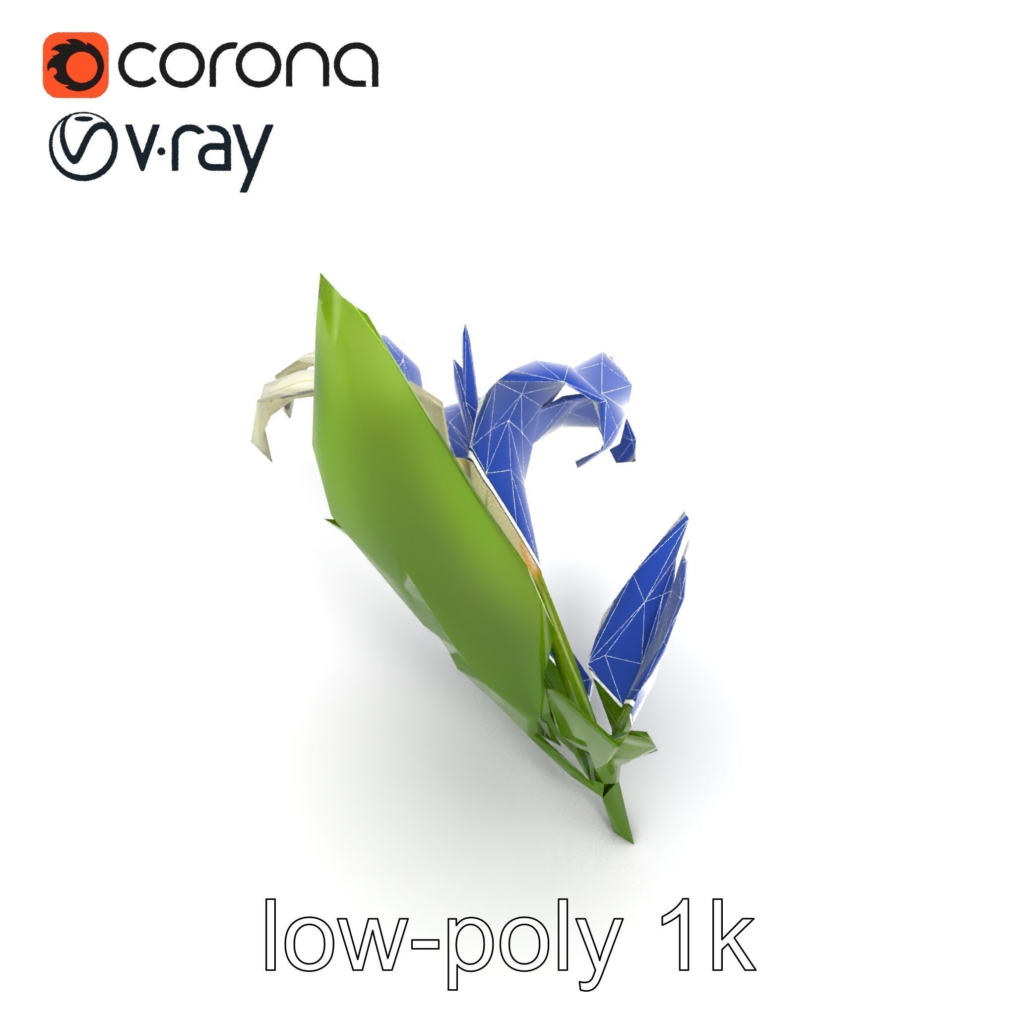 Longiflorum Lily Elegant Petals model pack Low-poly 3D model_28