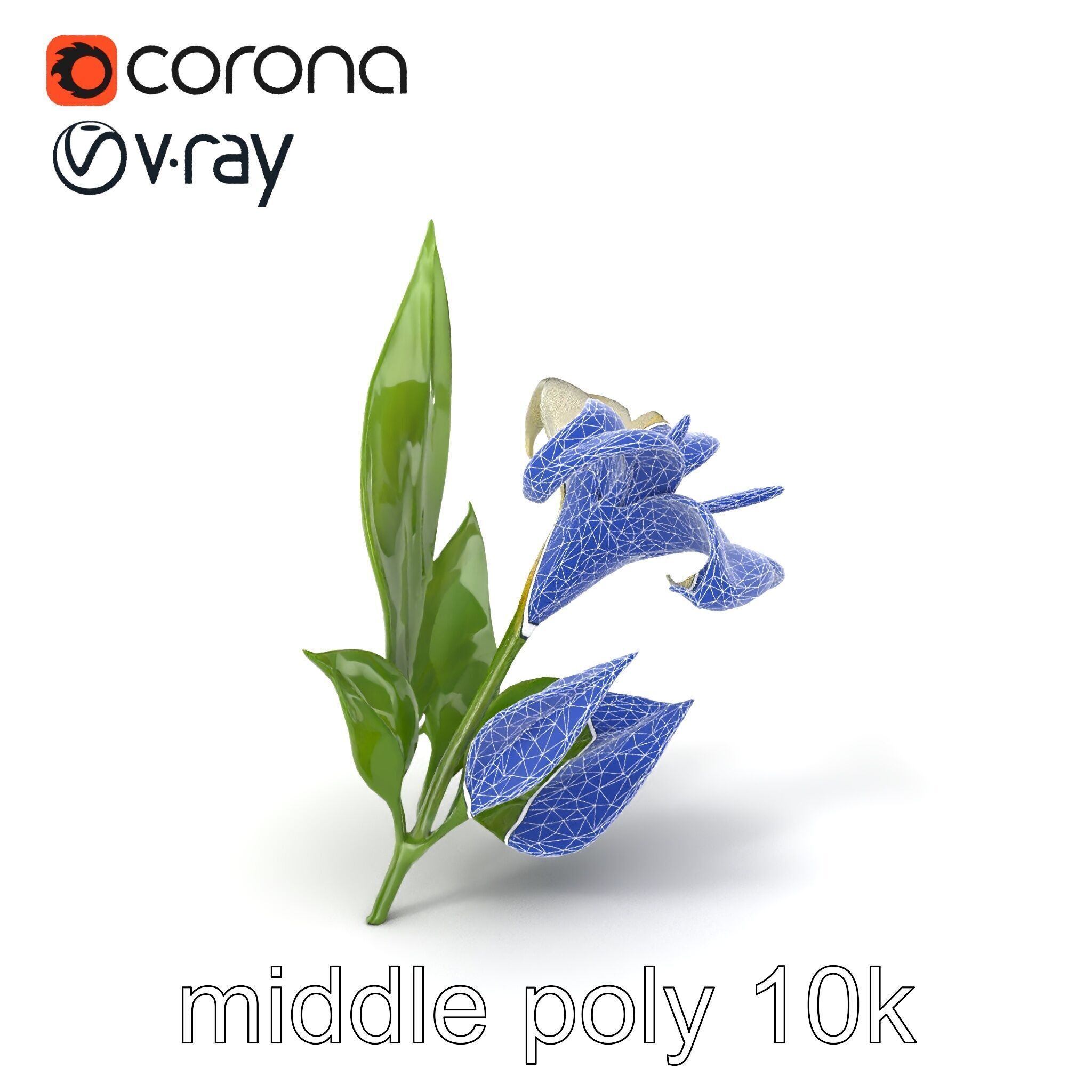 Longiflorum Lily Elegant Petals model pack Low-poly 3D model_5