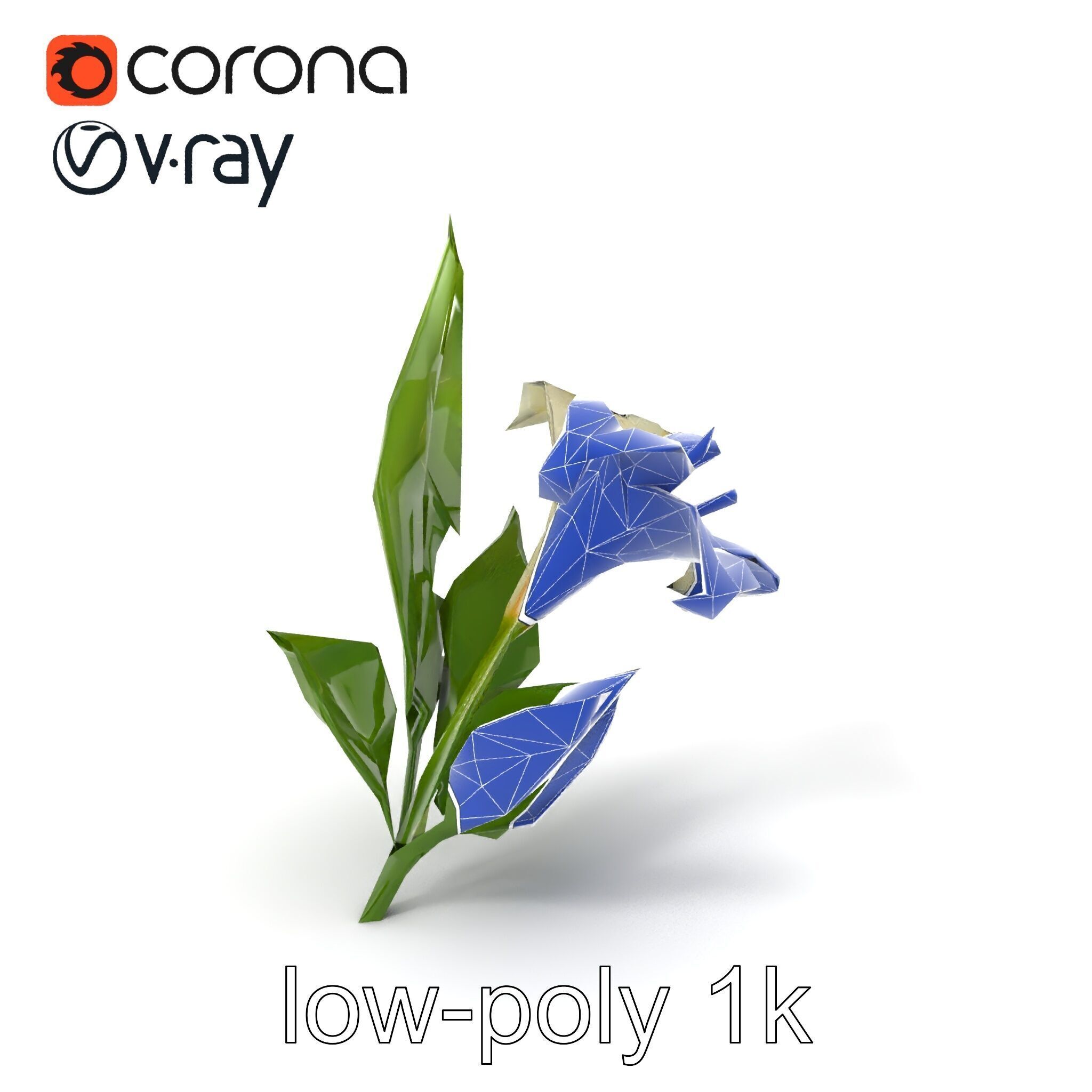Longiflorum Lily Elegant Petals model pack Low-poly 3D model_6
