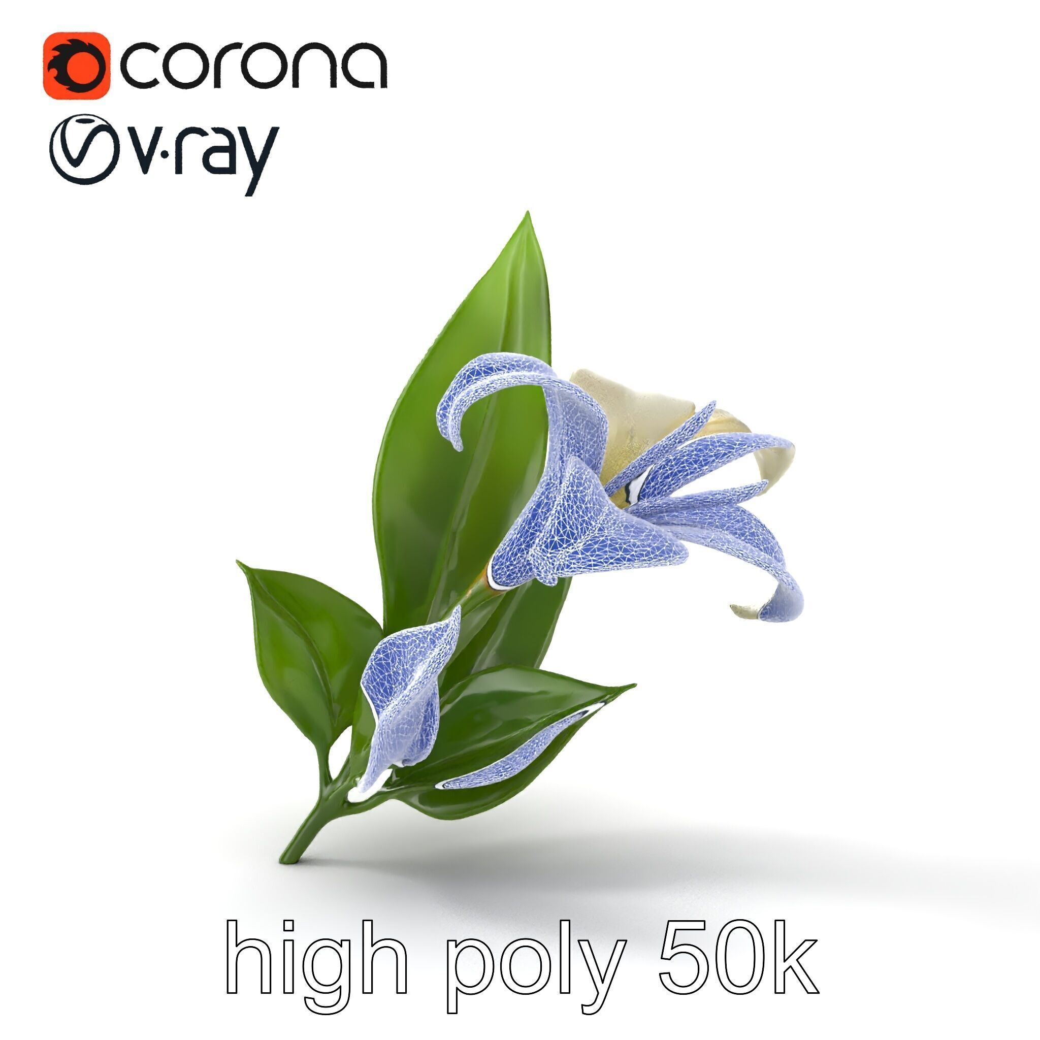 Longiflorum Lily Elegant Petals model pack Low-poly 3D model_25