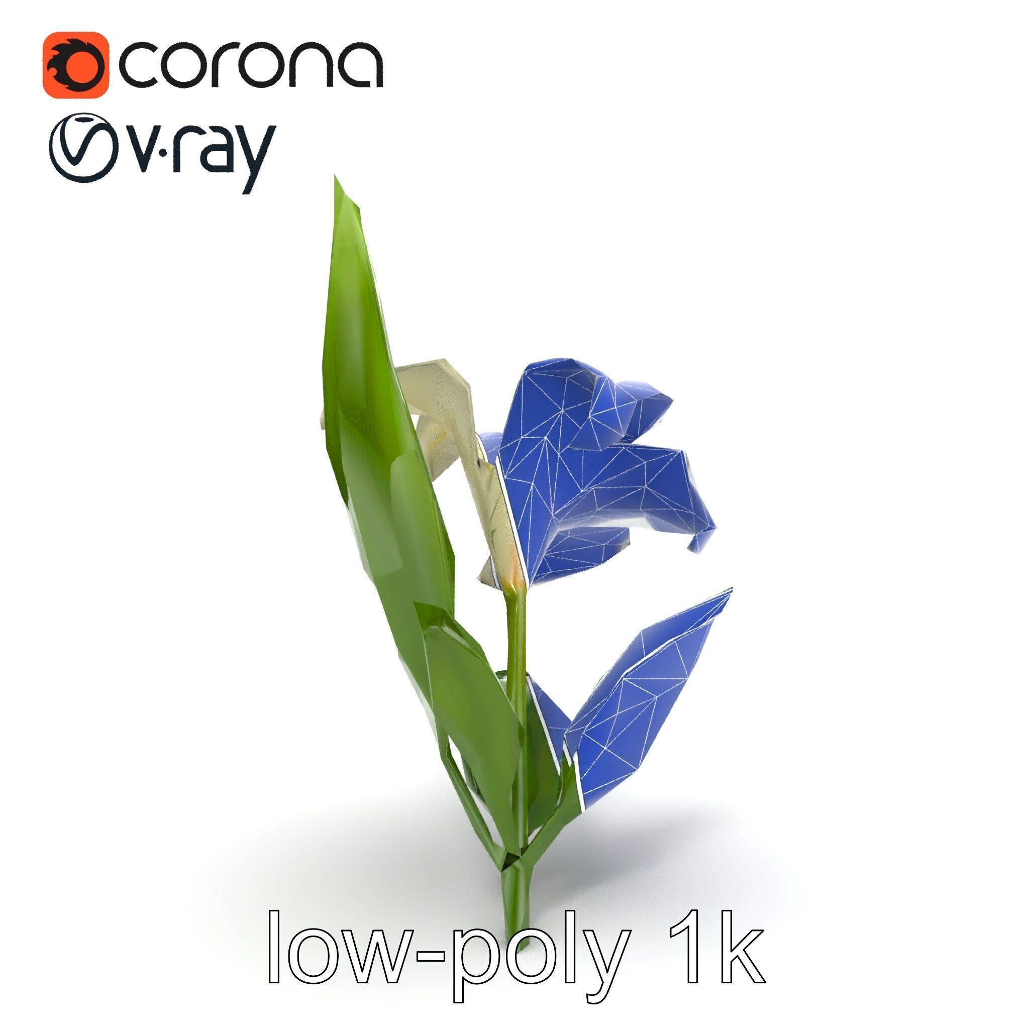 Longiflorum Lily Elegant Petals model pack Low-poly 3D model_17