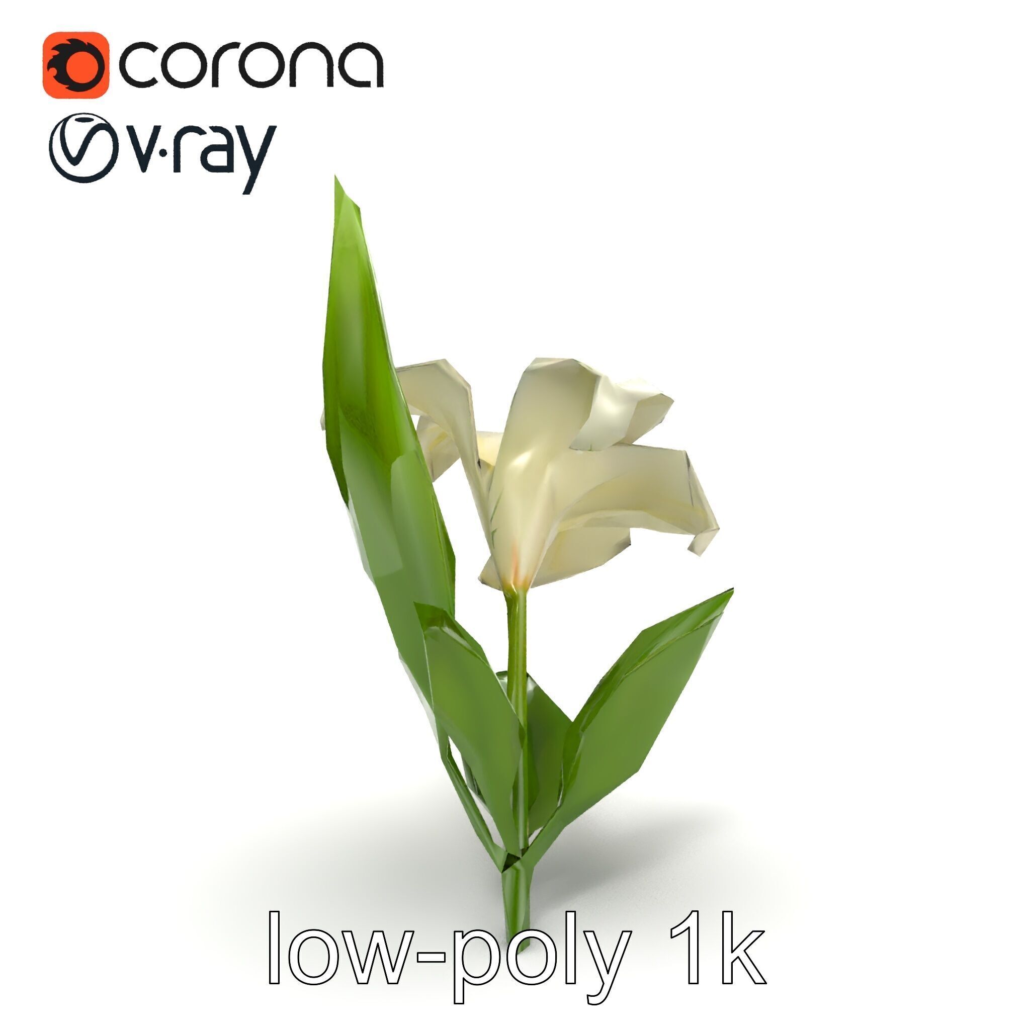 Longiflorum Lily Elegant Petals model pack Low-poly 3D model_23