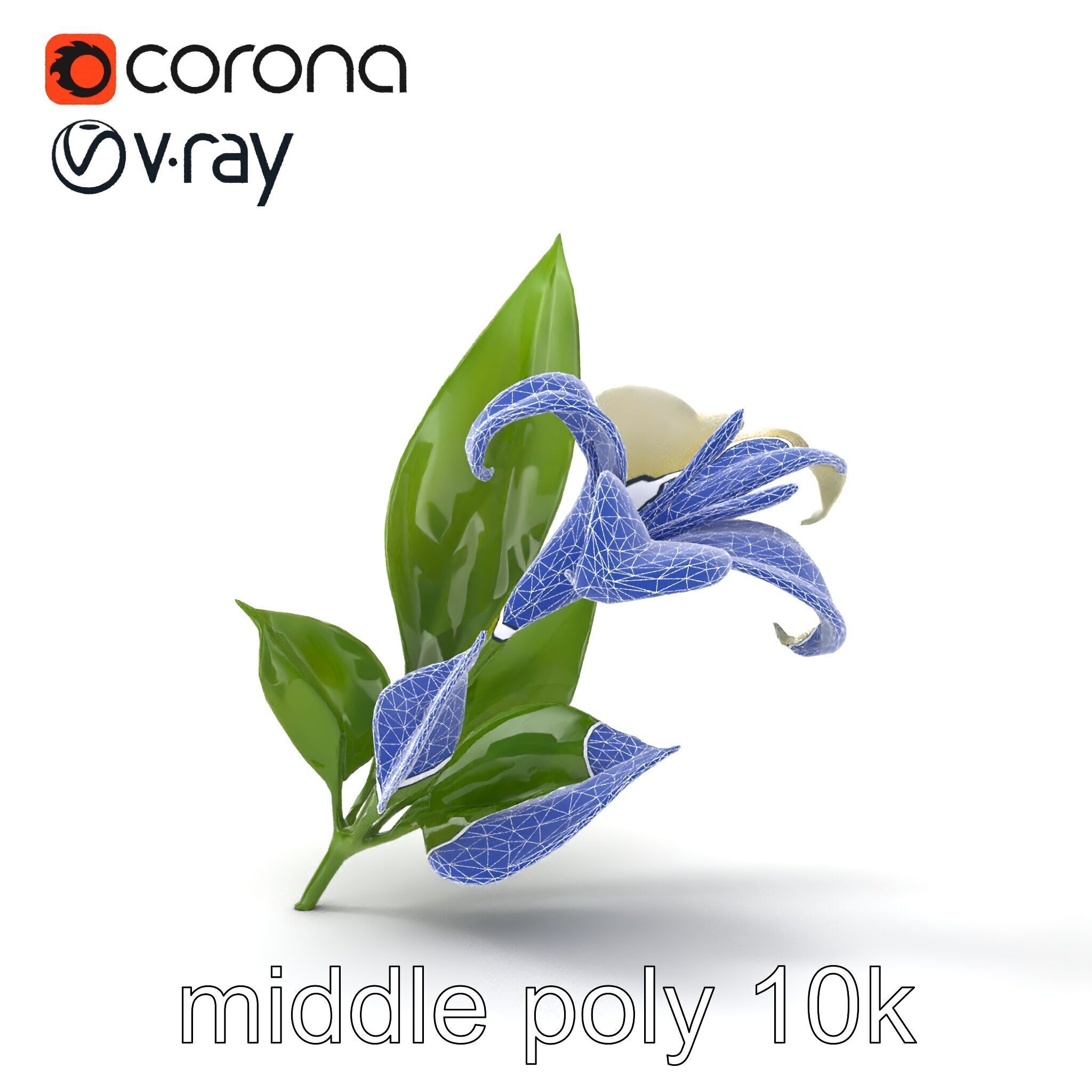 Longiflorum Lily Elegant Petals model pack Low-poly 3D model_13