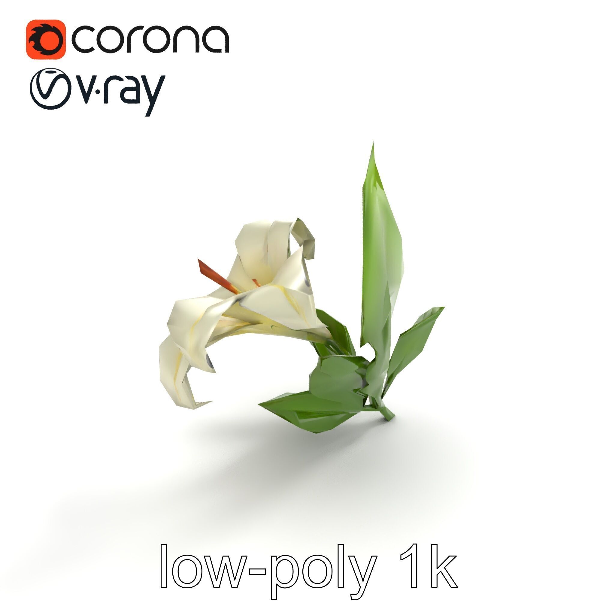 Longiflorum Lily Elegant Petals model pack Low-poly 3D model_8