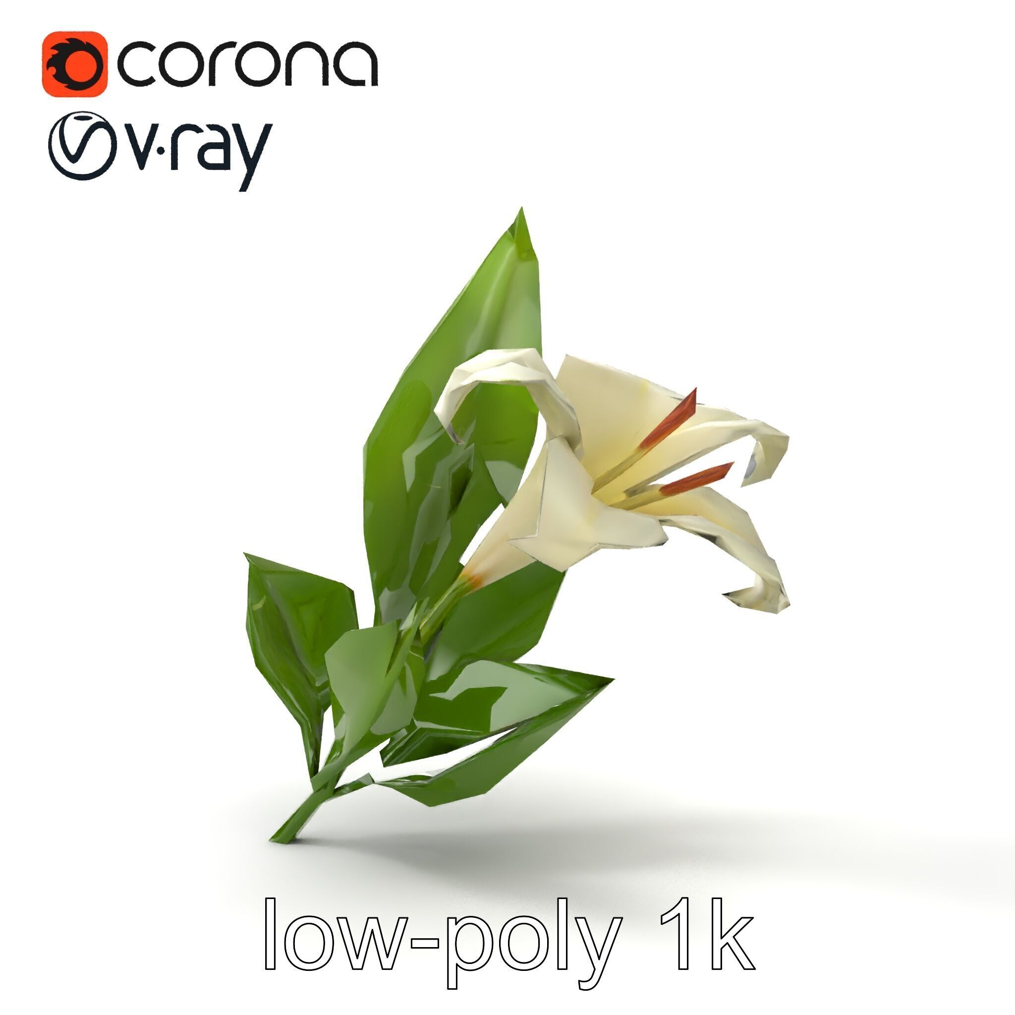 Longiflorum Lily Elegant Petals model pack Low-poly 3D model_12
