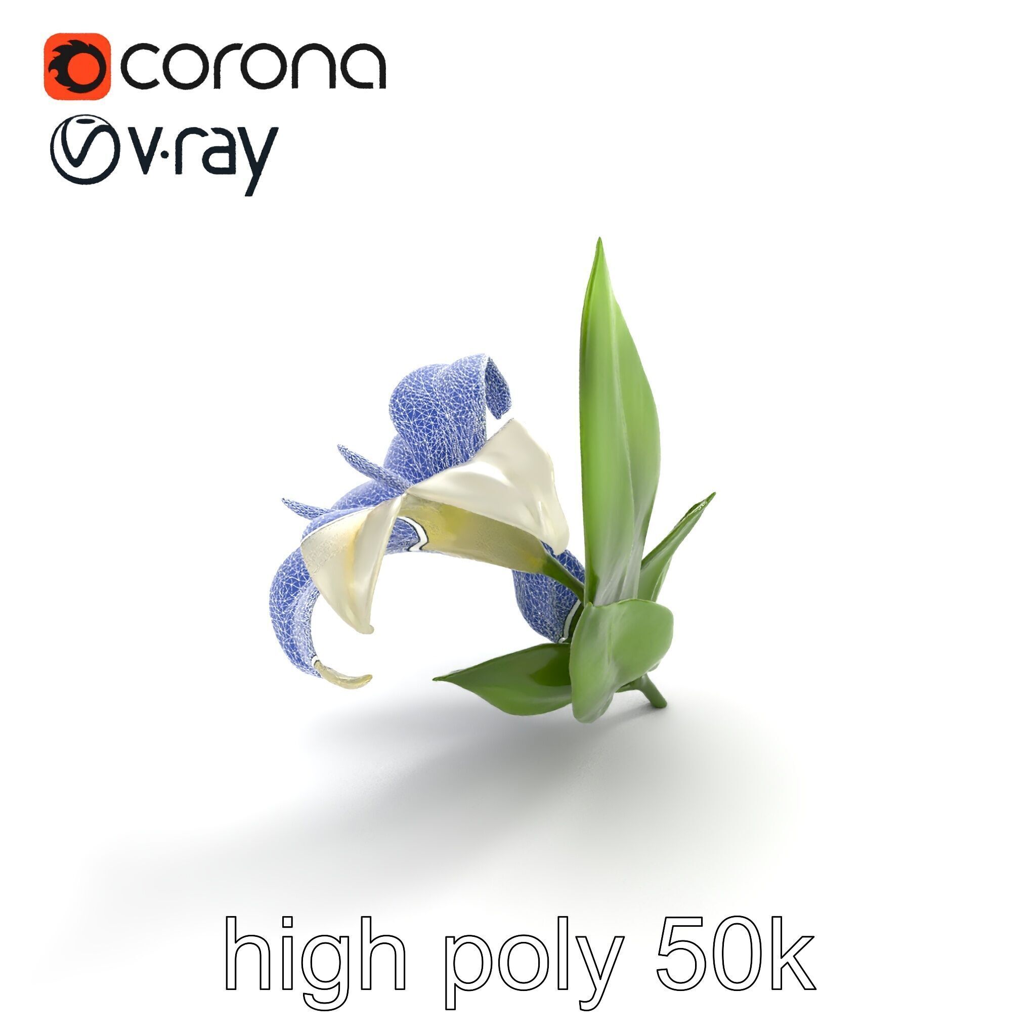 Longiflorum Lily Elegant Petals model pack Low-poly 3D model_21