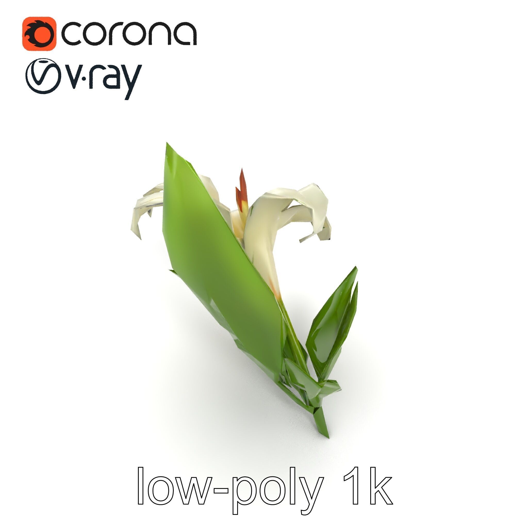 Longiflorum Lily Elegant Petals model pack Low-poly 3D model_16