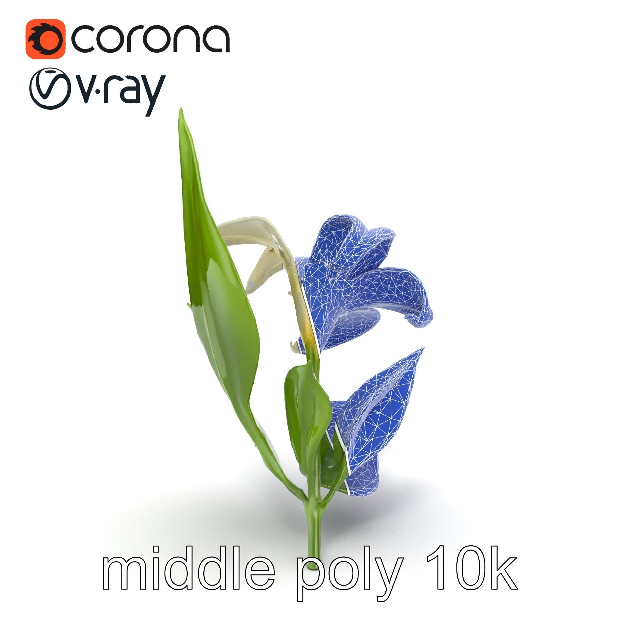 Longiflorum Lily Elegant Petals model pack Low-poly 3D model_26