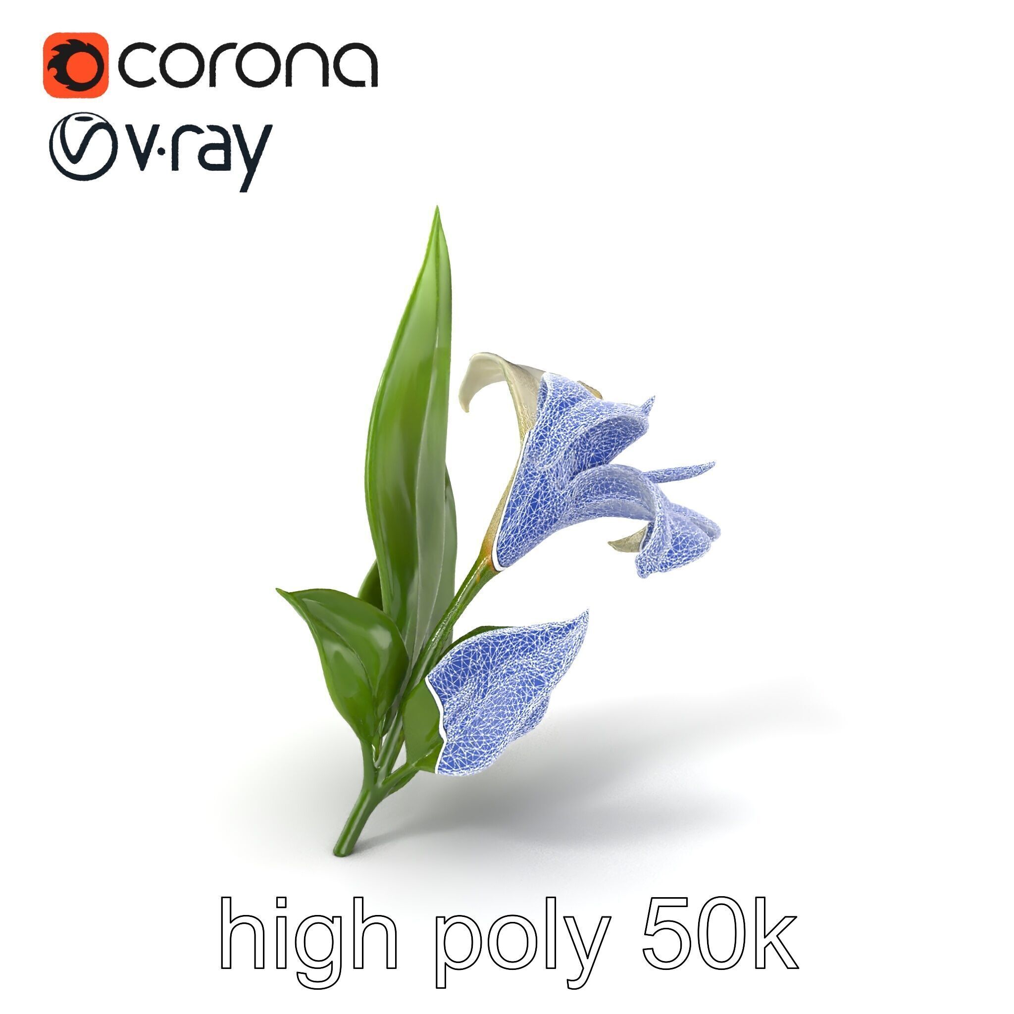 Longiflorum Lily Elegant Petals model pack Low-poly 3D model_1