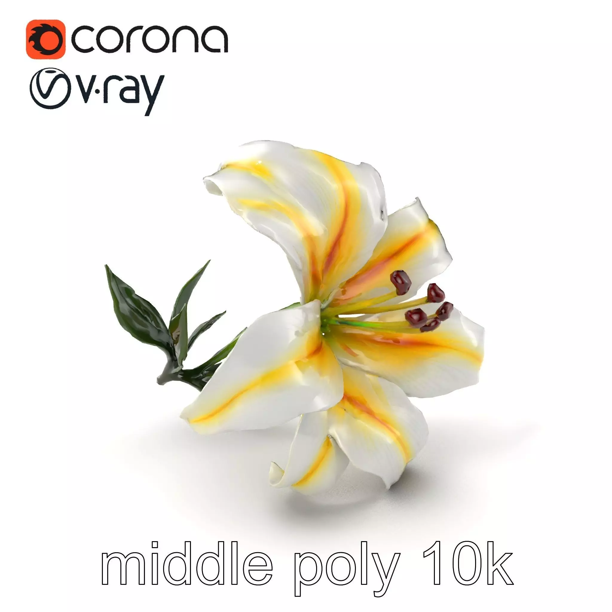 Golden-Rayed Lily Flower Model Pack Low-poly 3D model
