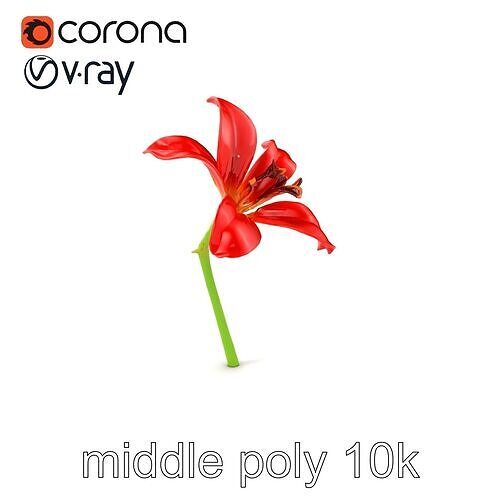 Dwarf Lily Realistic Flower Model Pack Low-poly 3D model