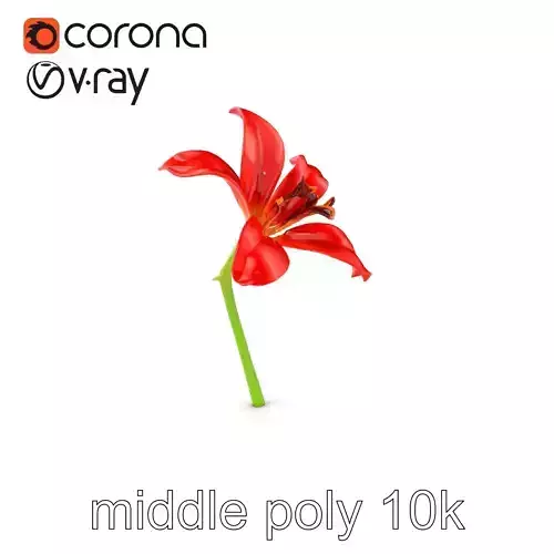 Dwarf Lily Realistic Flower Model Pack