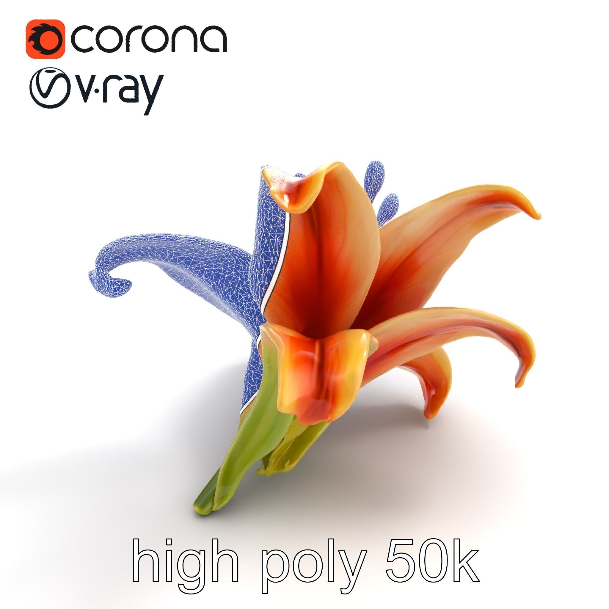 Lily Flower with Detailed Petals Model Pack Low-poly 3D model_32