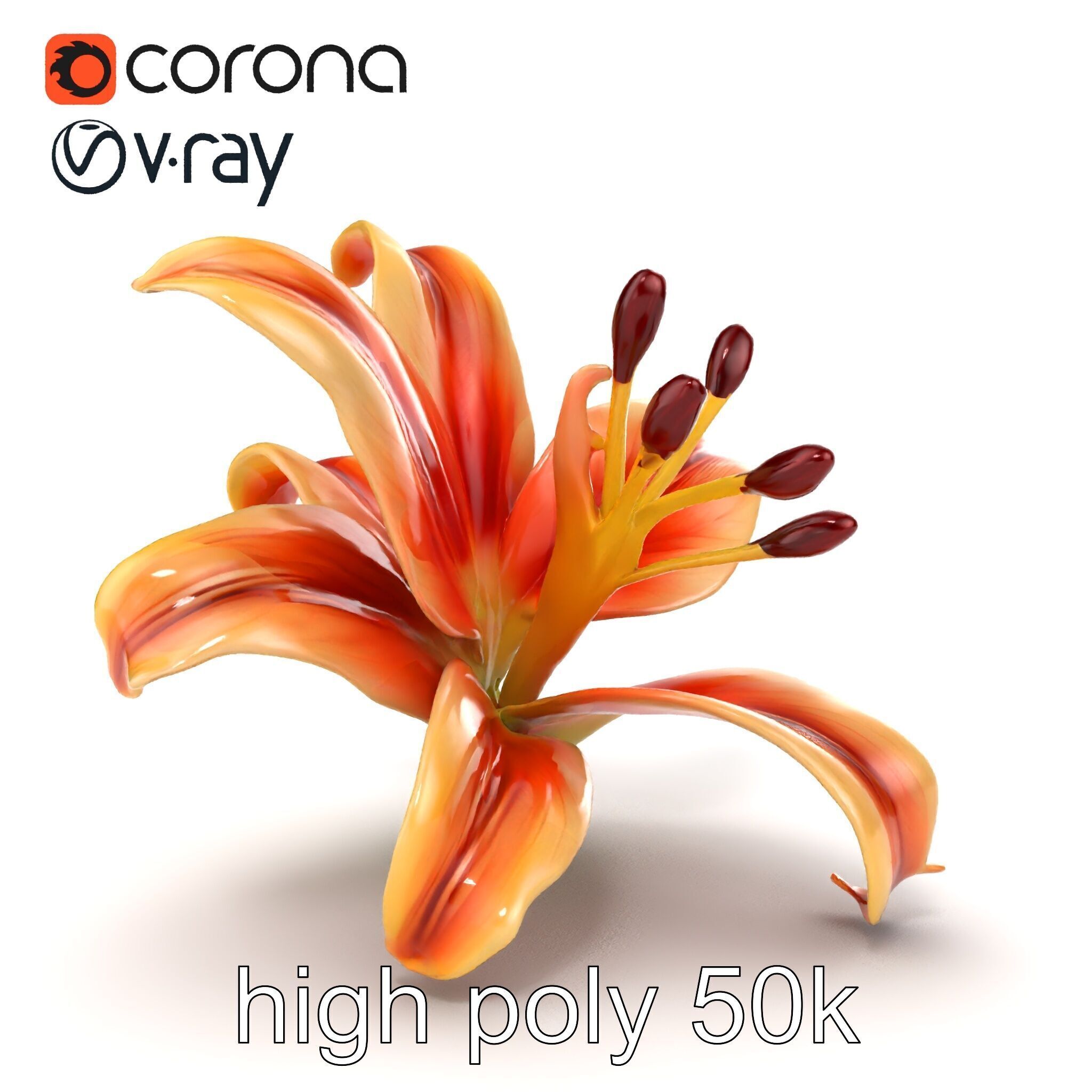 Lily Flower with Detailed Petals Model Pack Low-poly 3D model_20