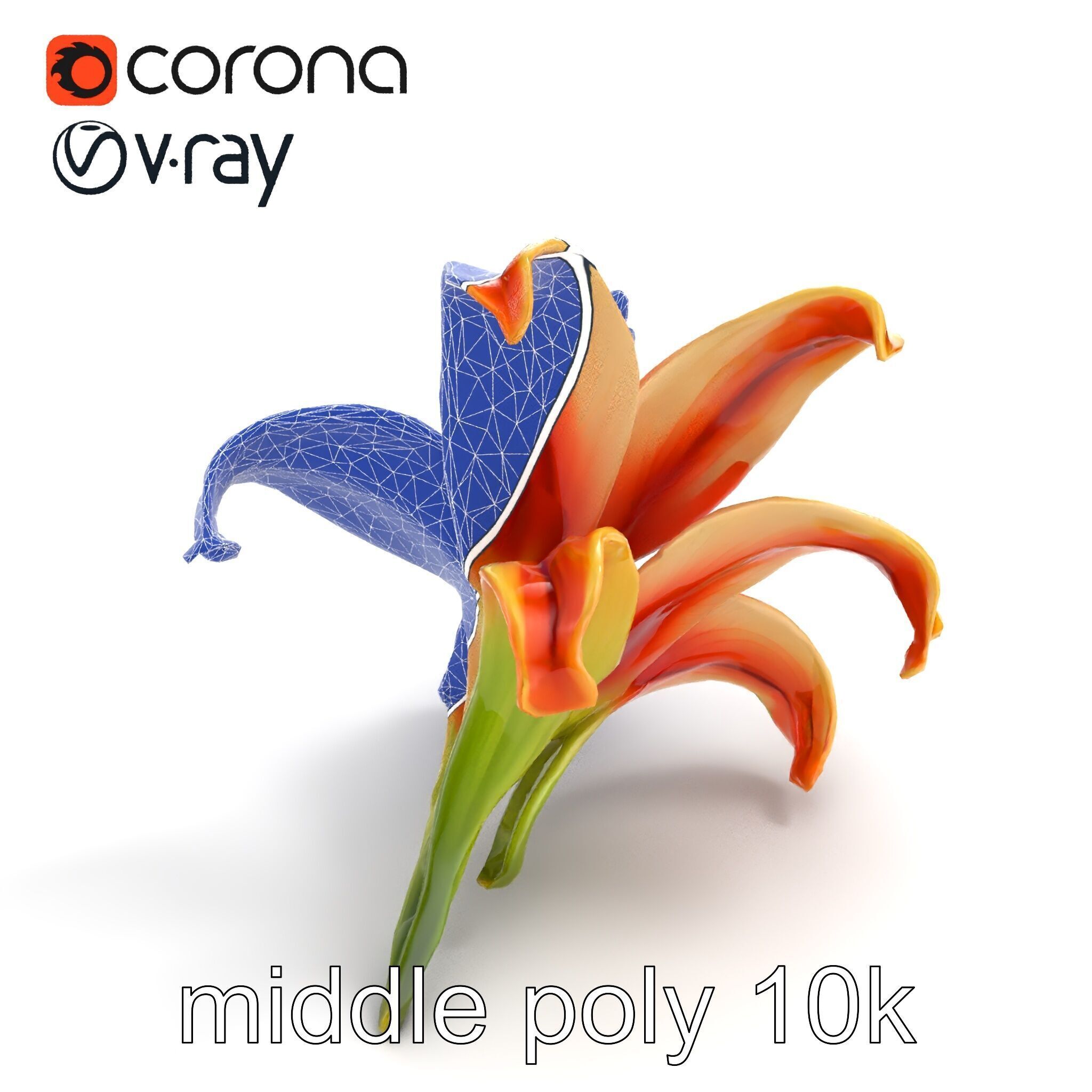 Lily Flower with Detailed Petals Model Pack Low-poly 3D model_24