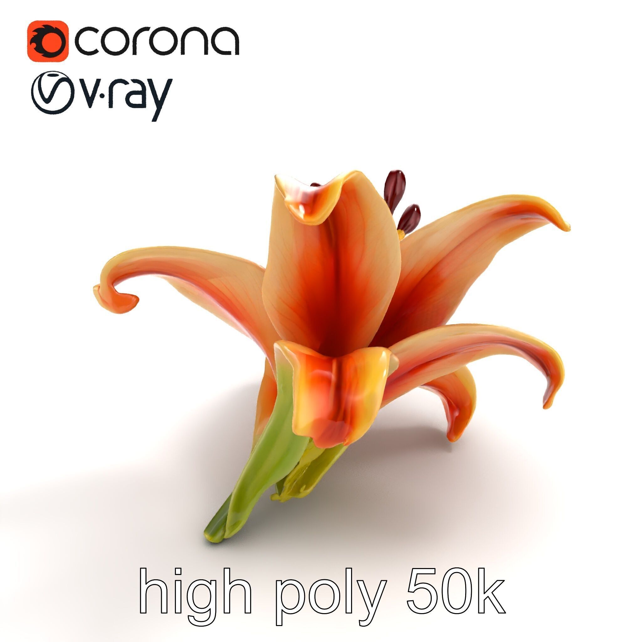 Lily Flower with Detailed Petals Model Pack Low-poly 3D model_30