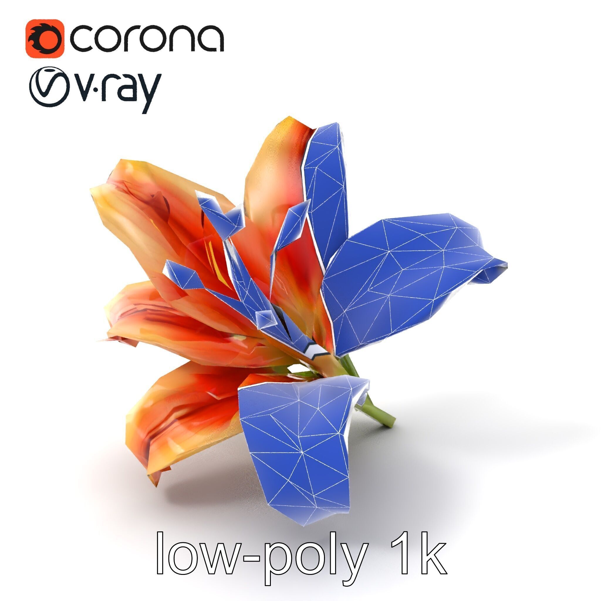 Lily Flower with Detailed Petals Model Pack Low-poly 3D model_7