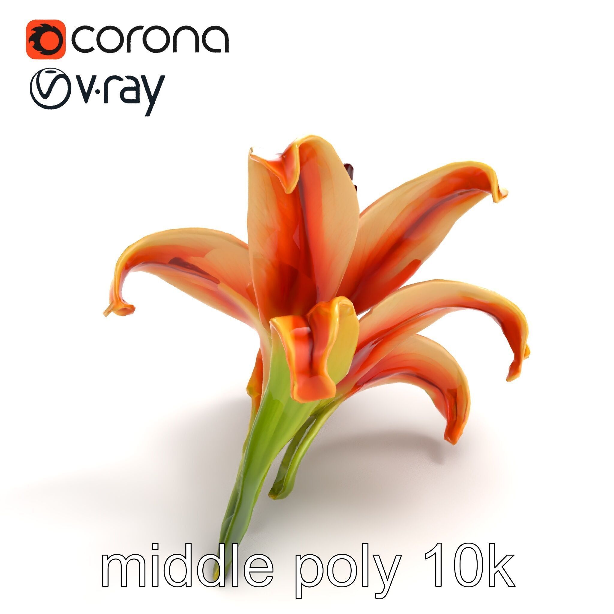 Lily Flower with Detailed Petals Model Pack Low-poly 3D model_8