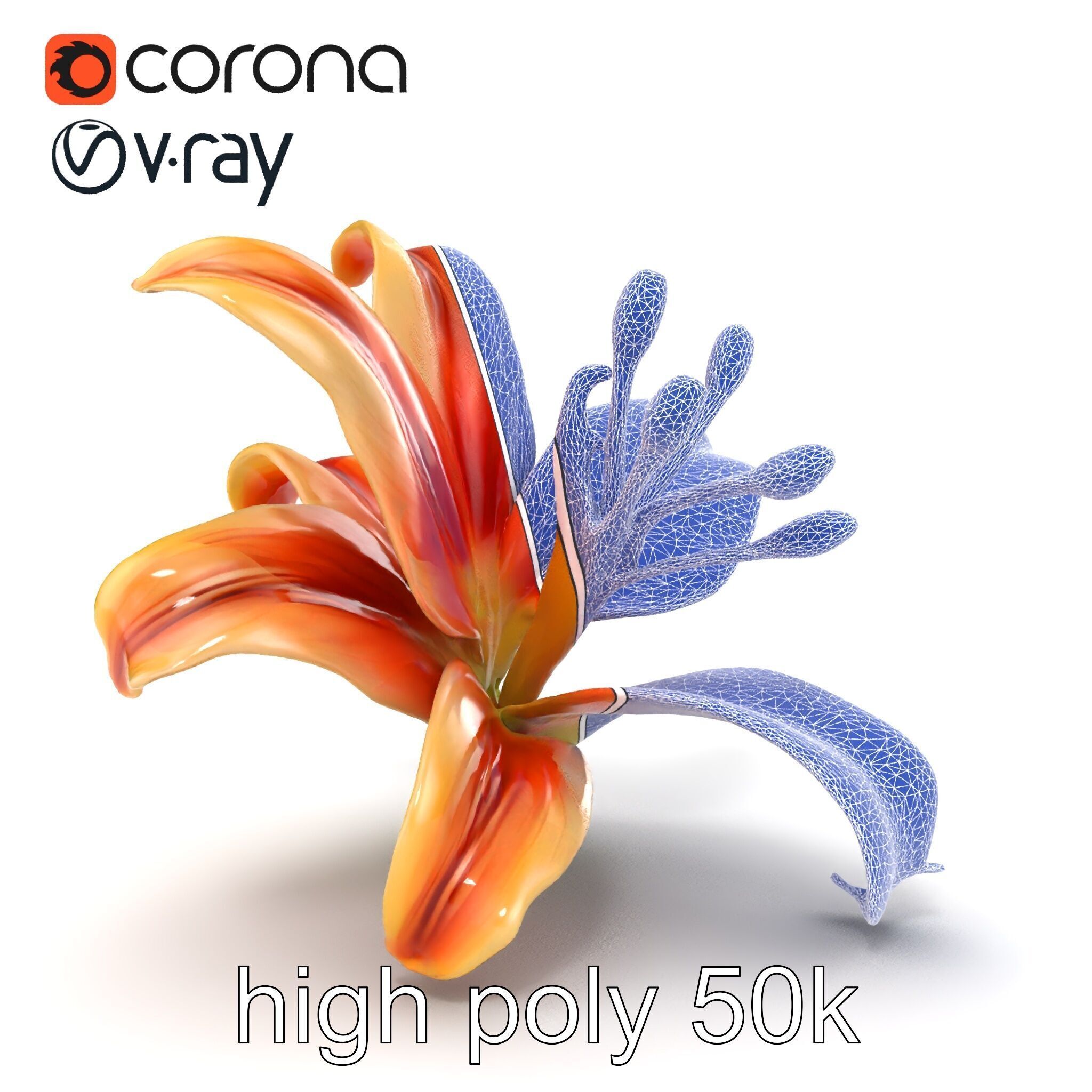 Lily Flower with Detailed Petals Model Pack Low-poly 3D model_28