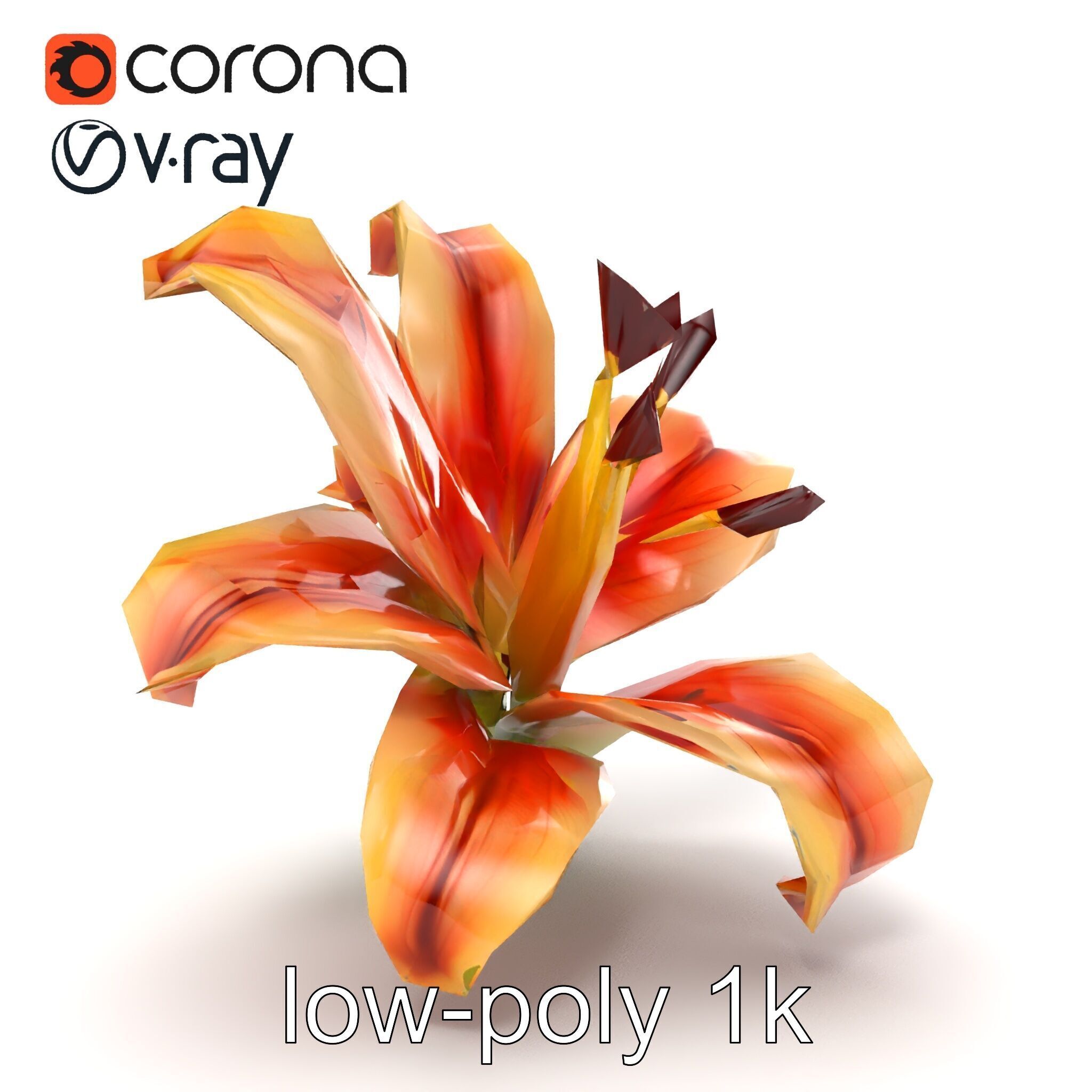 Lily Flower with Detailed Petals Model Pack Low-poly 3D model_25