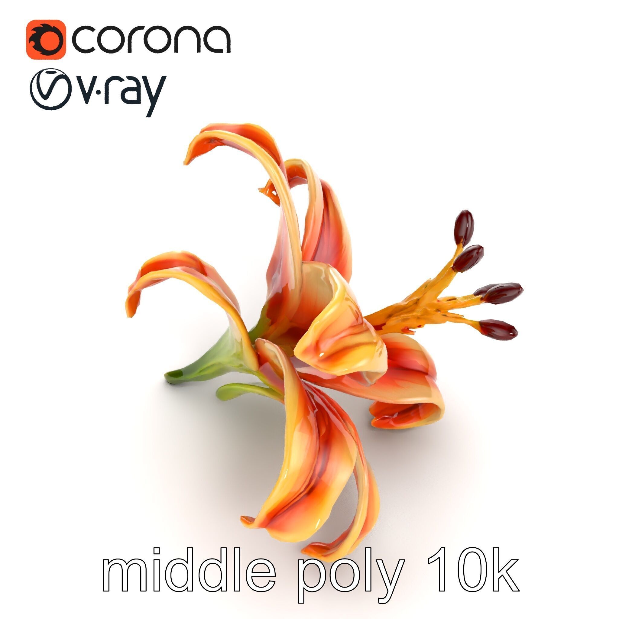 Lily Flower with Detailed Petals Model Pack Low-poly 3D model_12