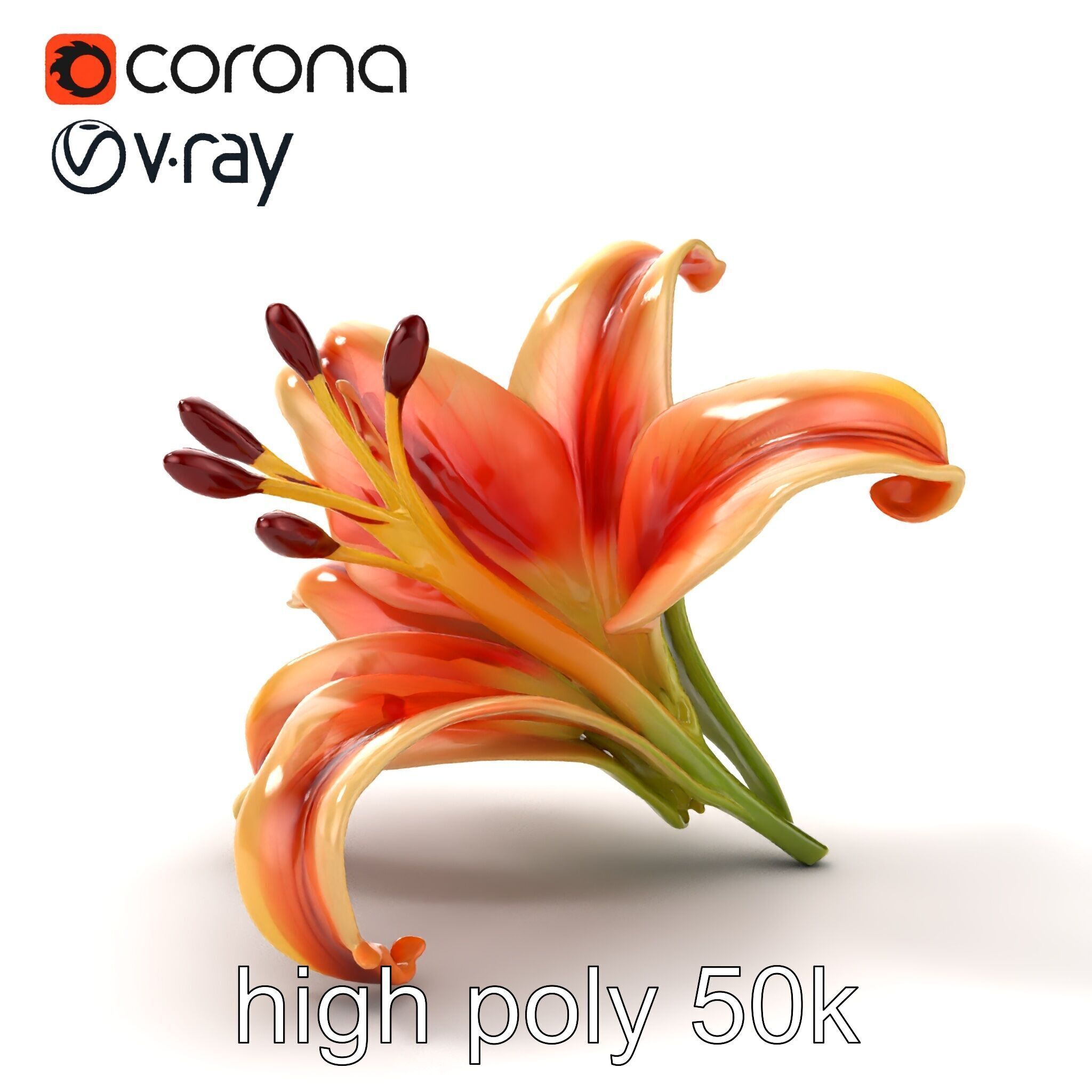 Lily Flower with Detailed Petals Model Pack Low-poly 3D model_17