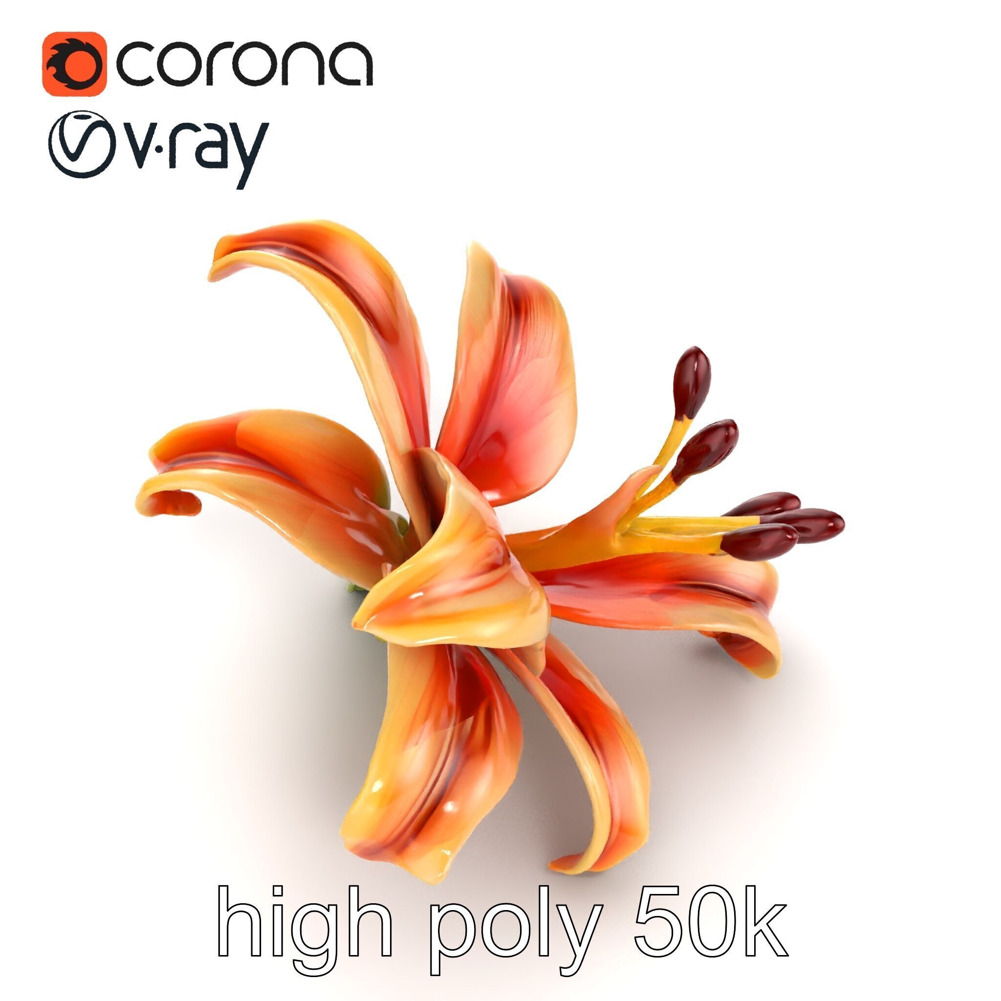 Lily Flower with Detailed Petals Model Pack Low-poly 3D model_19