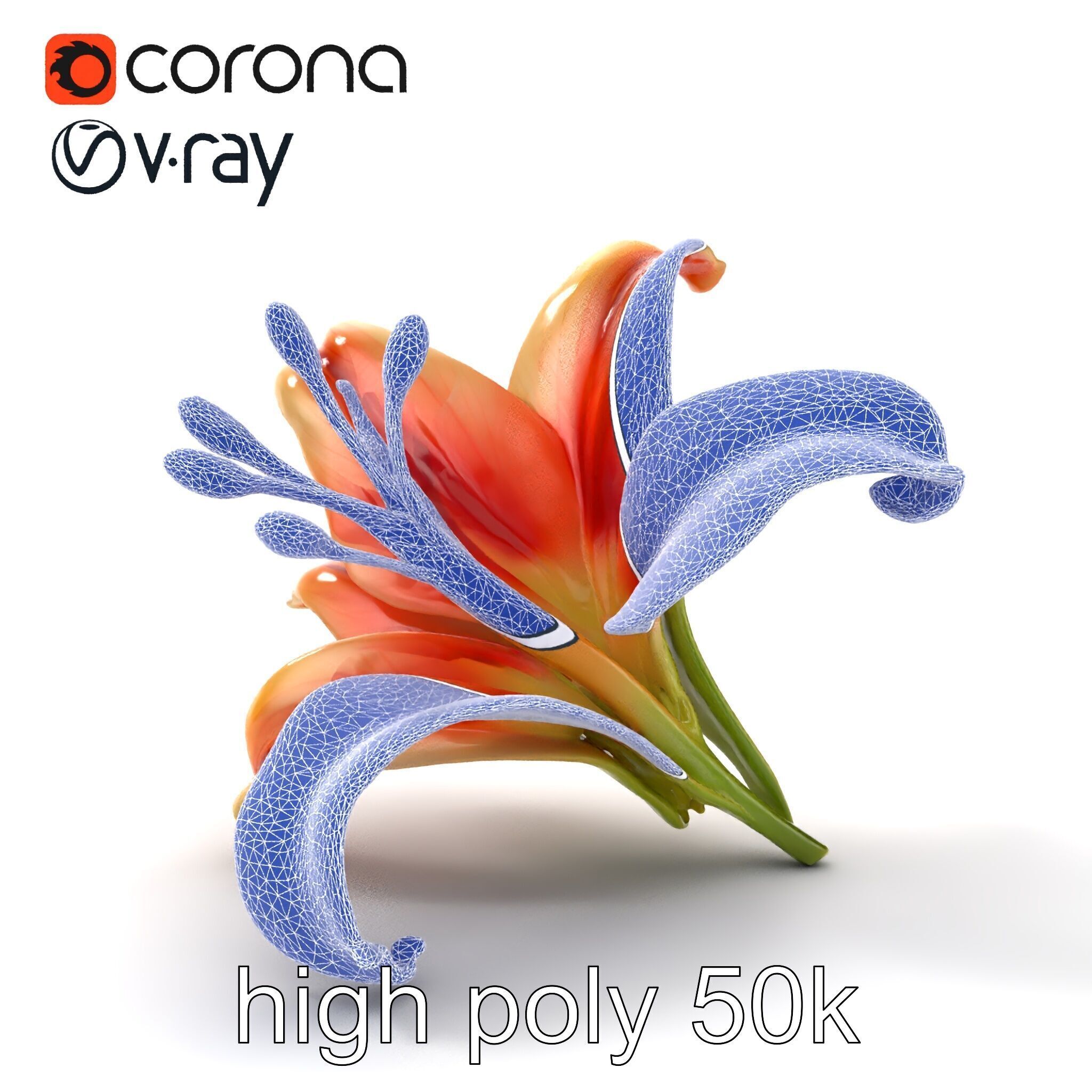 Lily Flower with Detailed Petals Model Pack Low-poly 3D model_11