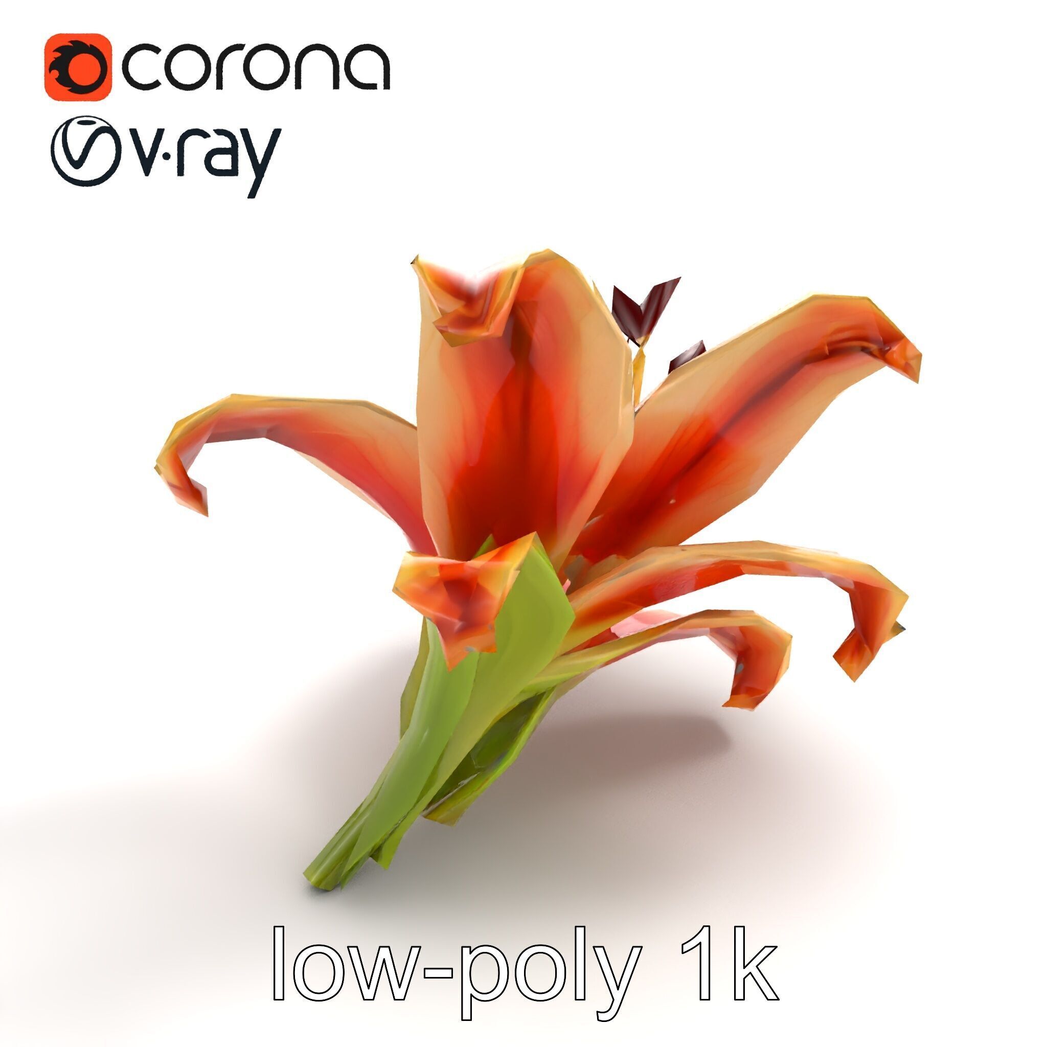 Lily Flower with Detailed Petals Model Pack Low-poly 3D model_9