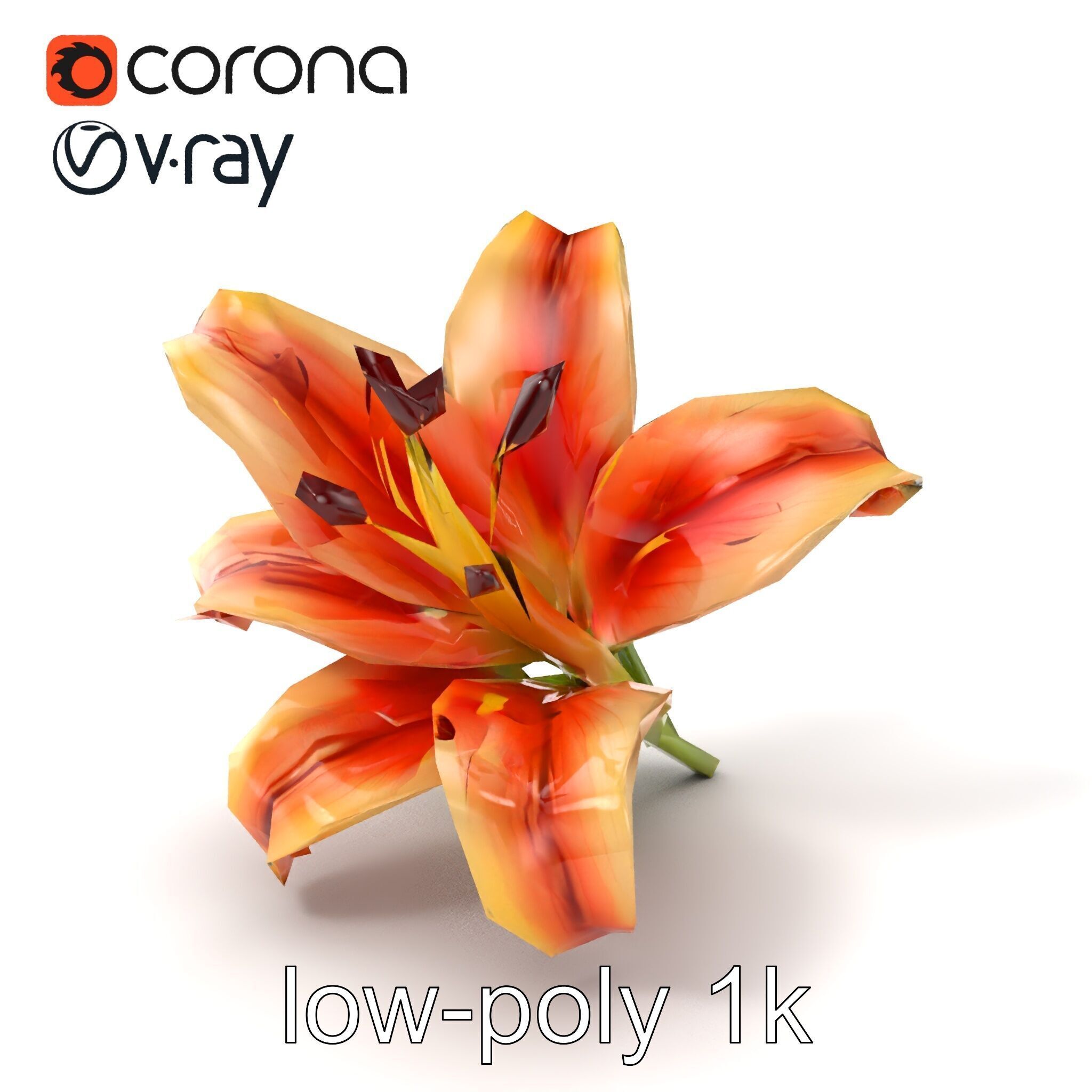 Lily Flower with Detailed Petals Model Pack Low-poly 3D model_5