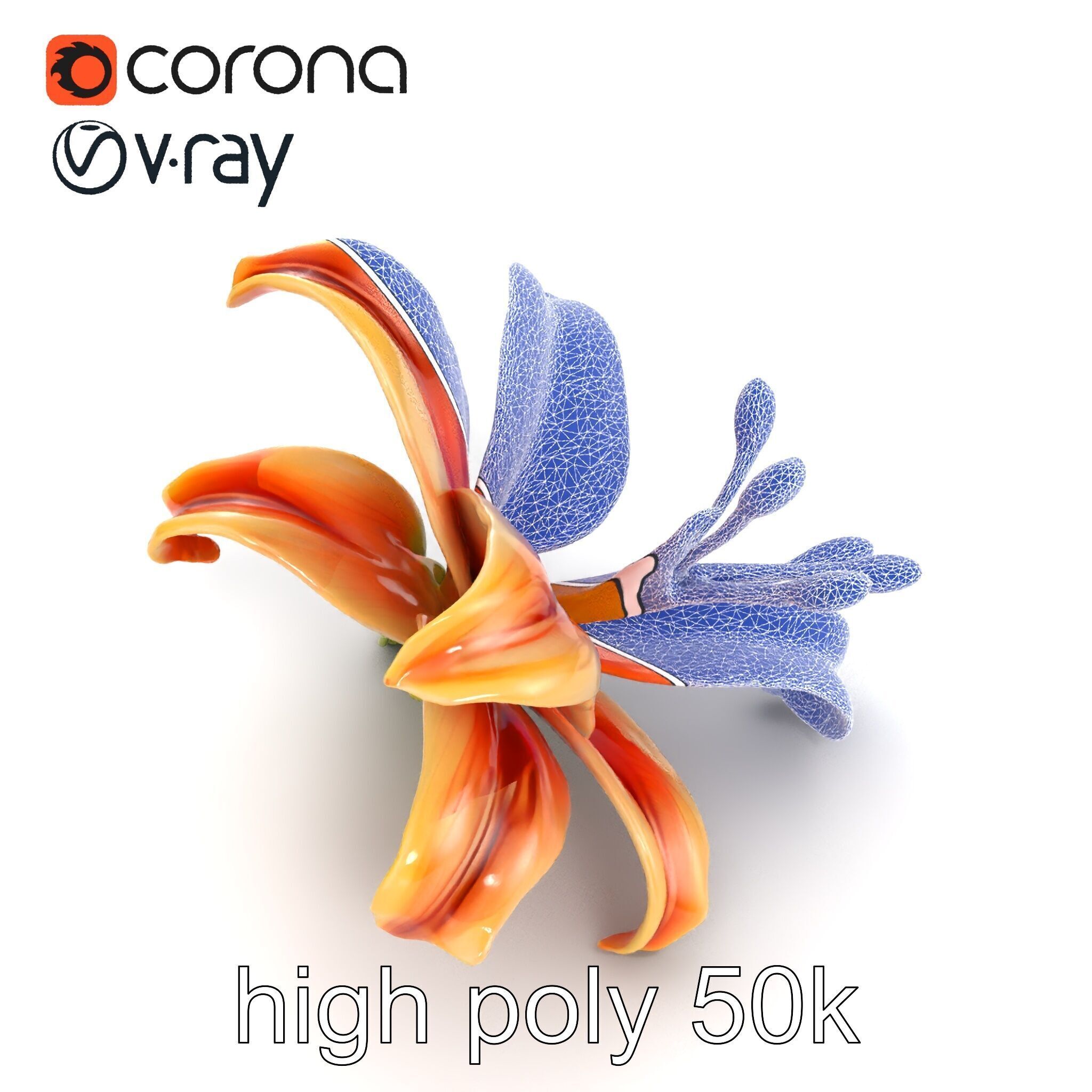 Lily Flower with Detailed Petals Model Pack Low-poly 3D model_23